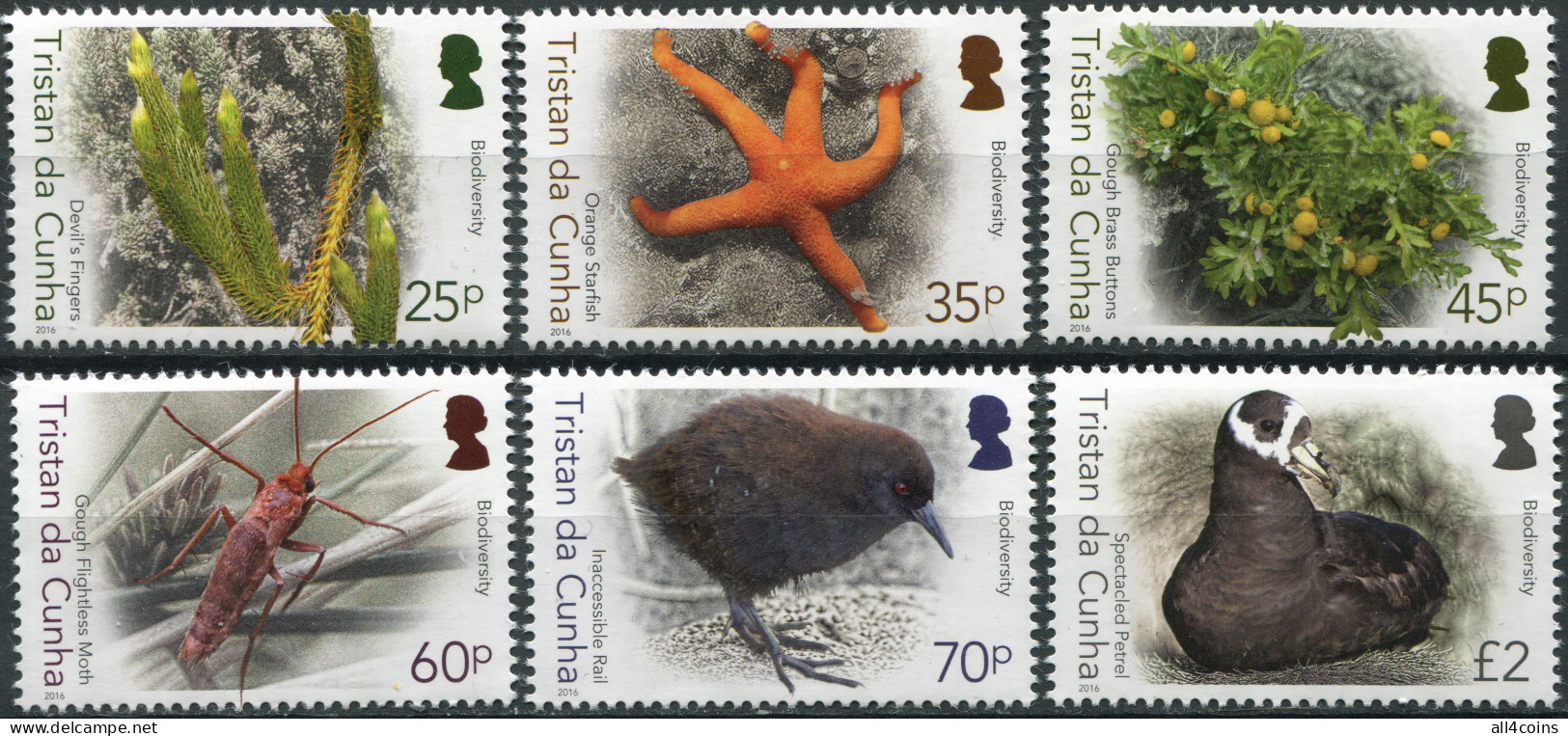 Tristan Da Cunha 2016. Biodiversity (II) (MNH OG) Set Of 6 Stamps - Tristan Da Cunha