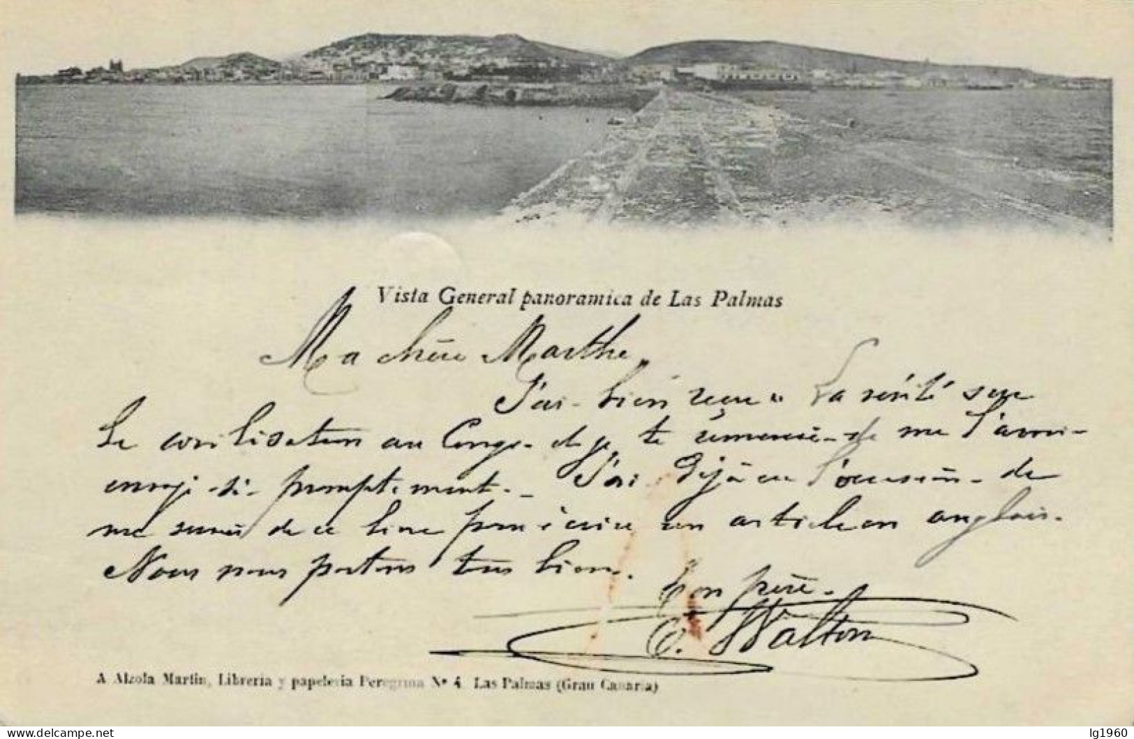 Vista General Panoramica De Las Palmas - 1903 - Gran Canaria