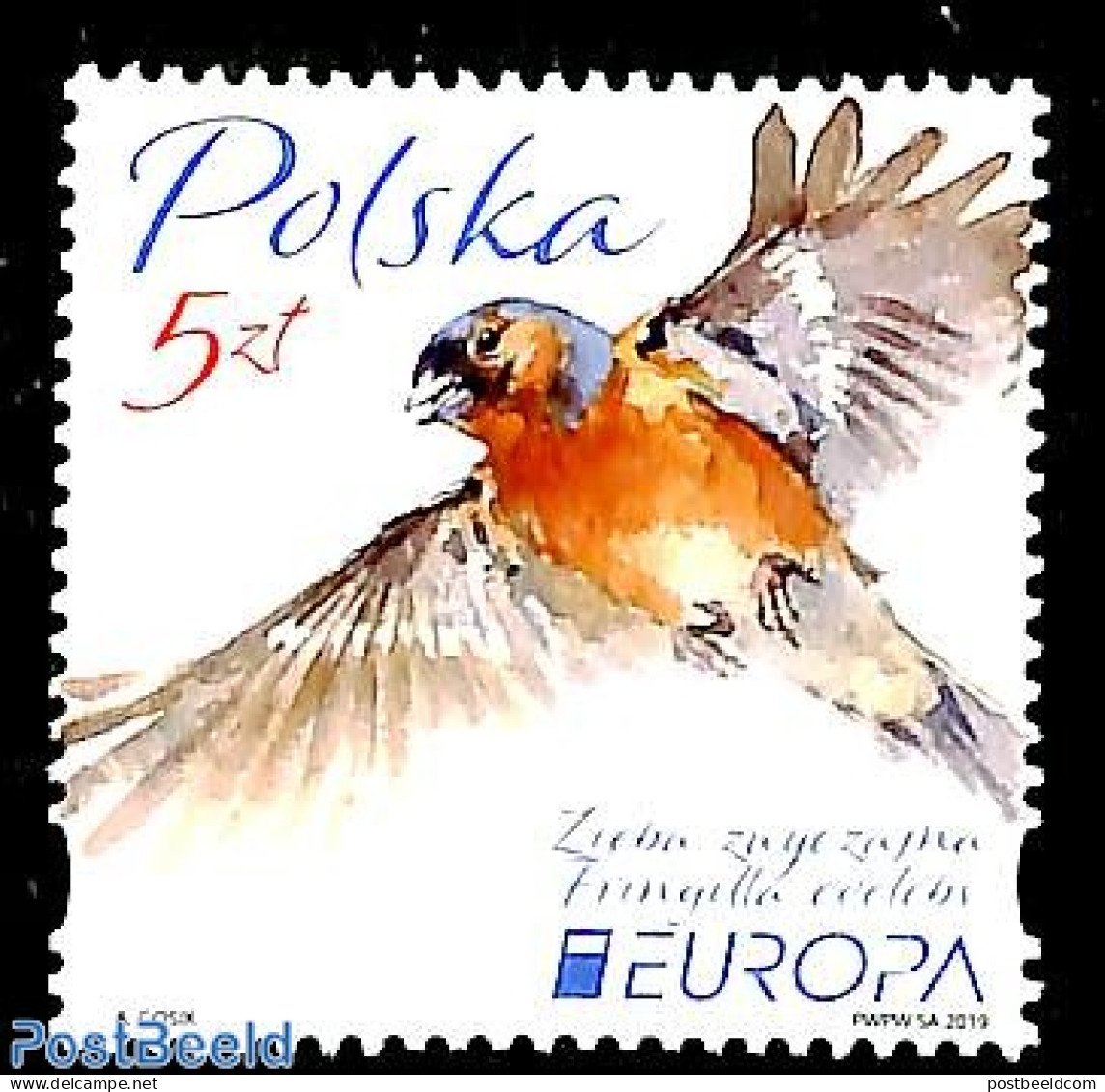 Poland 2019 Europa, Birds 1v, Mint NH, History - Nature - Europa (cept) - Birds - Nuevos