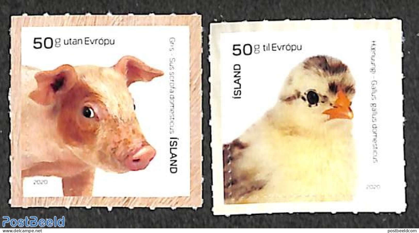 Iceland 2020 Young Domestic Animals 2v, Mint NH, Nature - Animals (others & Mixed) - Cattle - Poultry - Ungebraucht