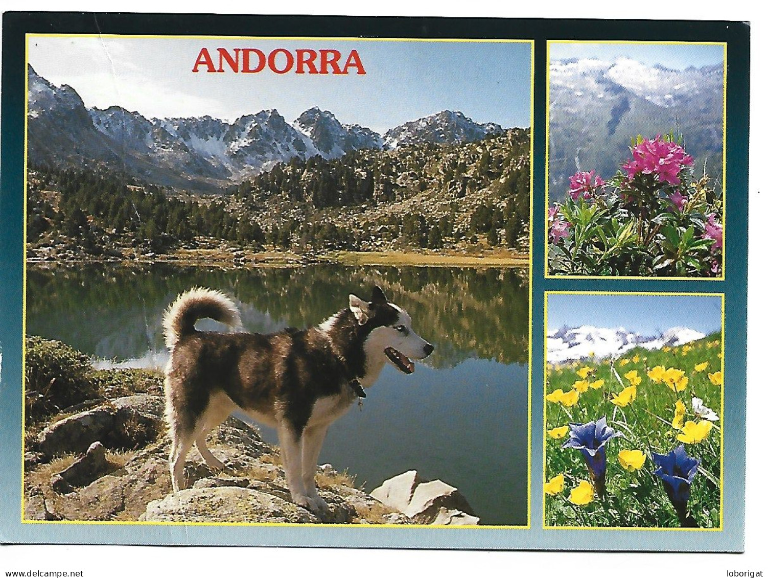 VALLS D'ANDORRA.- ANDORRA - Andorre