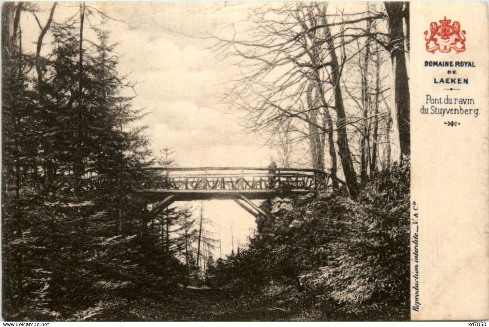 Laeken - Pont Du Ravin - Laeken