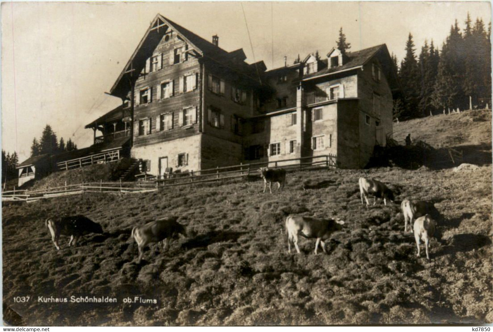 Kurhaus Schönhalden Ob Flums - Flums