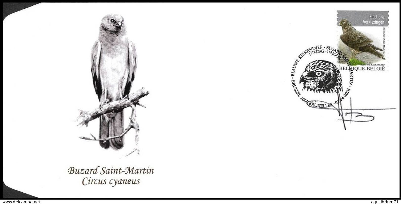 Busard Saint-Martin / Blauwe Kiekendief - FDC° -  BSL-BXL - 02-04-2024 - BUZIN - SIGNÉ/GETEKEND - RRR (- De/dan 10) - 1985-.. Oiseaux (Buzin)