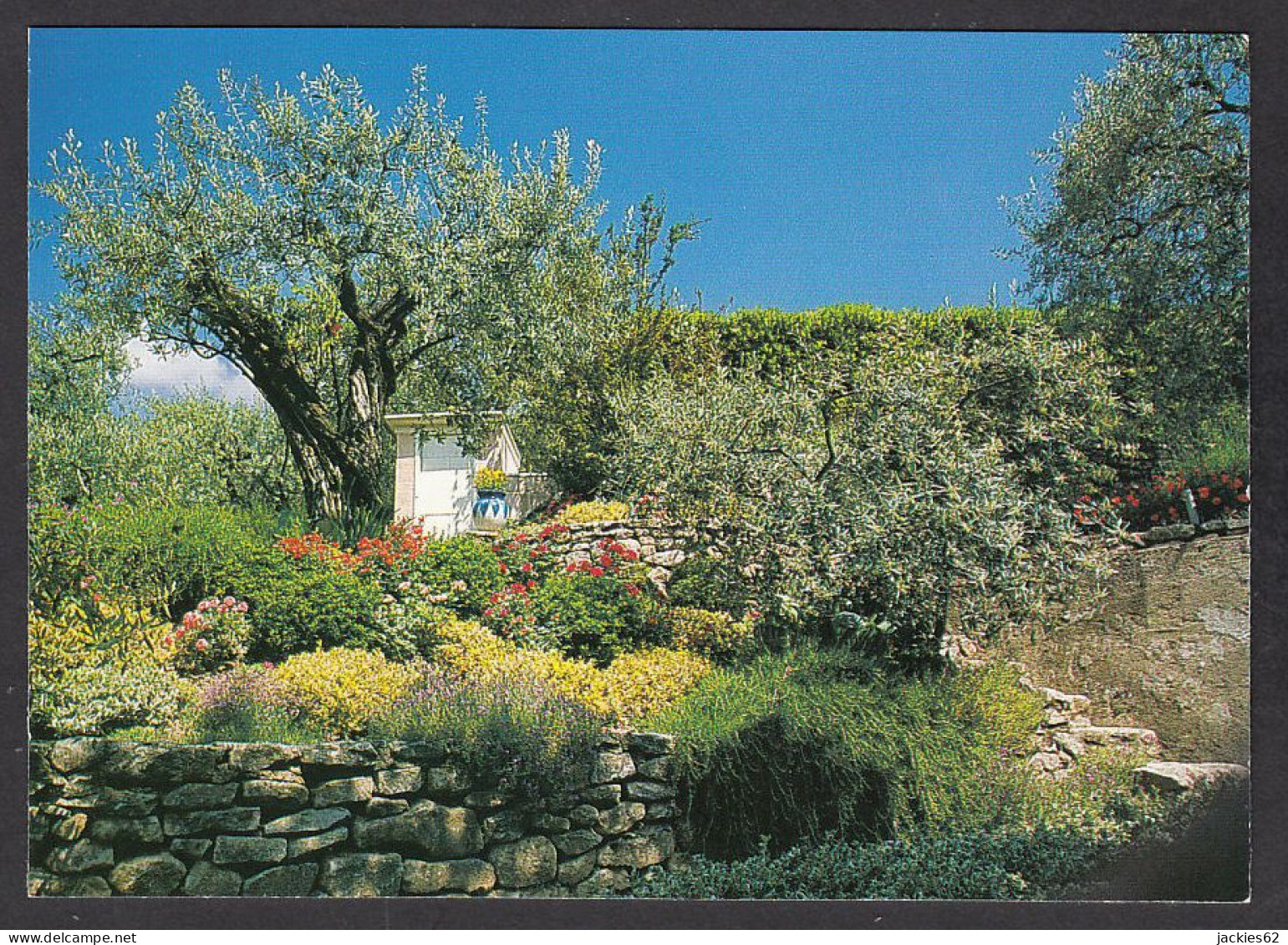 094187/ Francis BENDLER, Jardin Méditerranéen, Ed Compa Carterie Aix-en-Provence - Autres & Non Classés