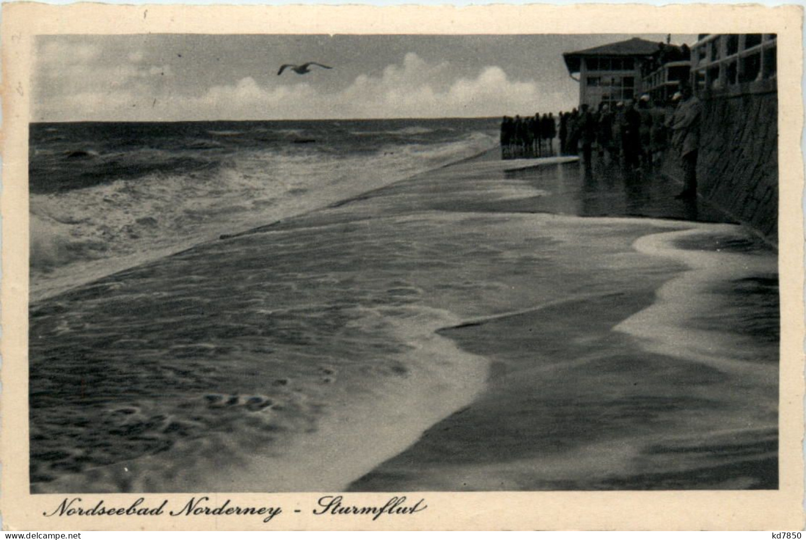 Norderney - Sturmflut - Norderney