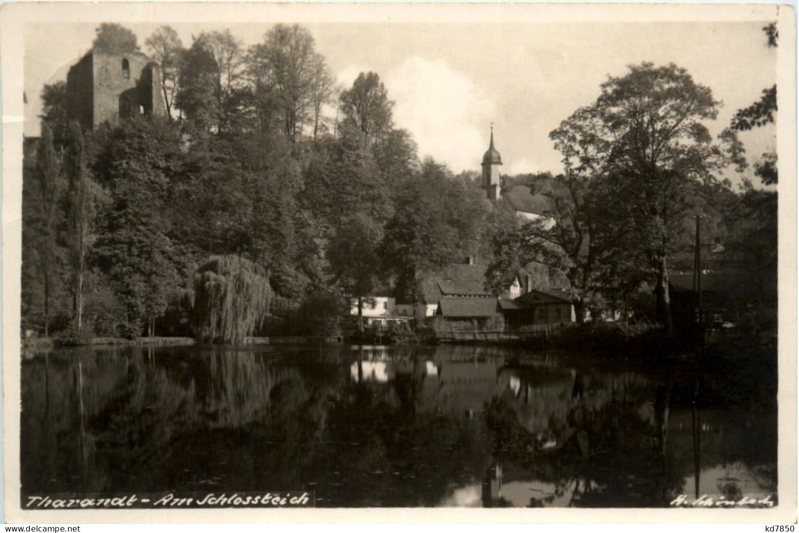 Tharandt, Am Schlossteich - Tharandt