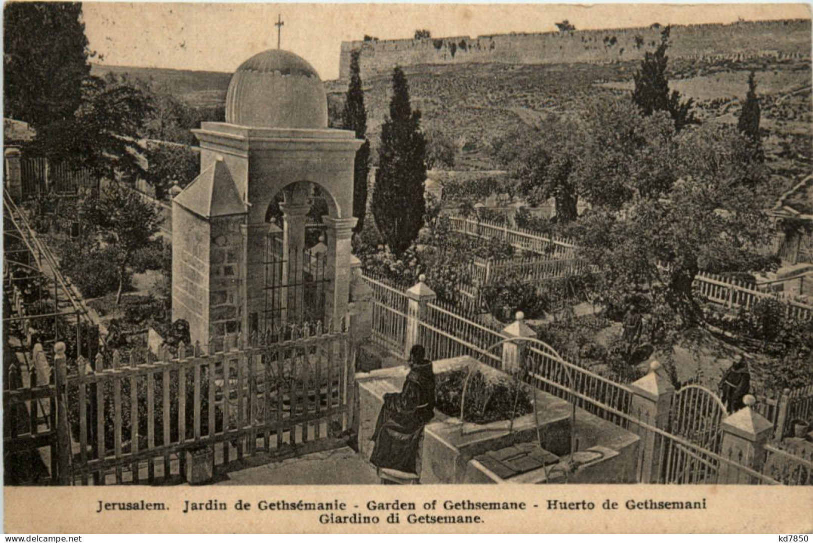 Jerusalem - Jardin De Gethsemanie - Palästina