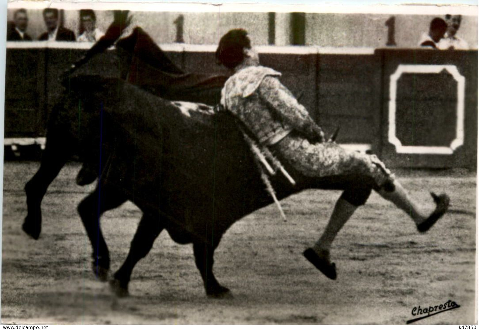 Cogida - Dangerous Accident Of The Bullfighter - Corrida