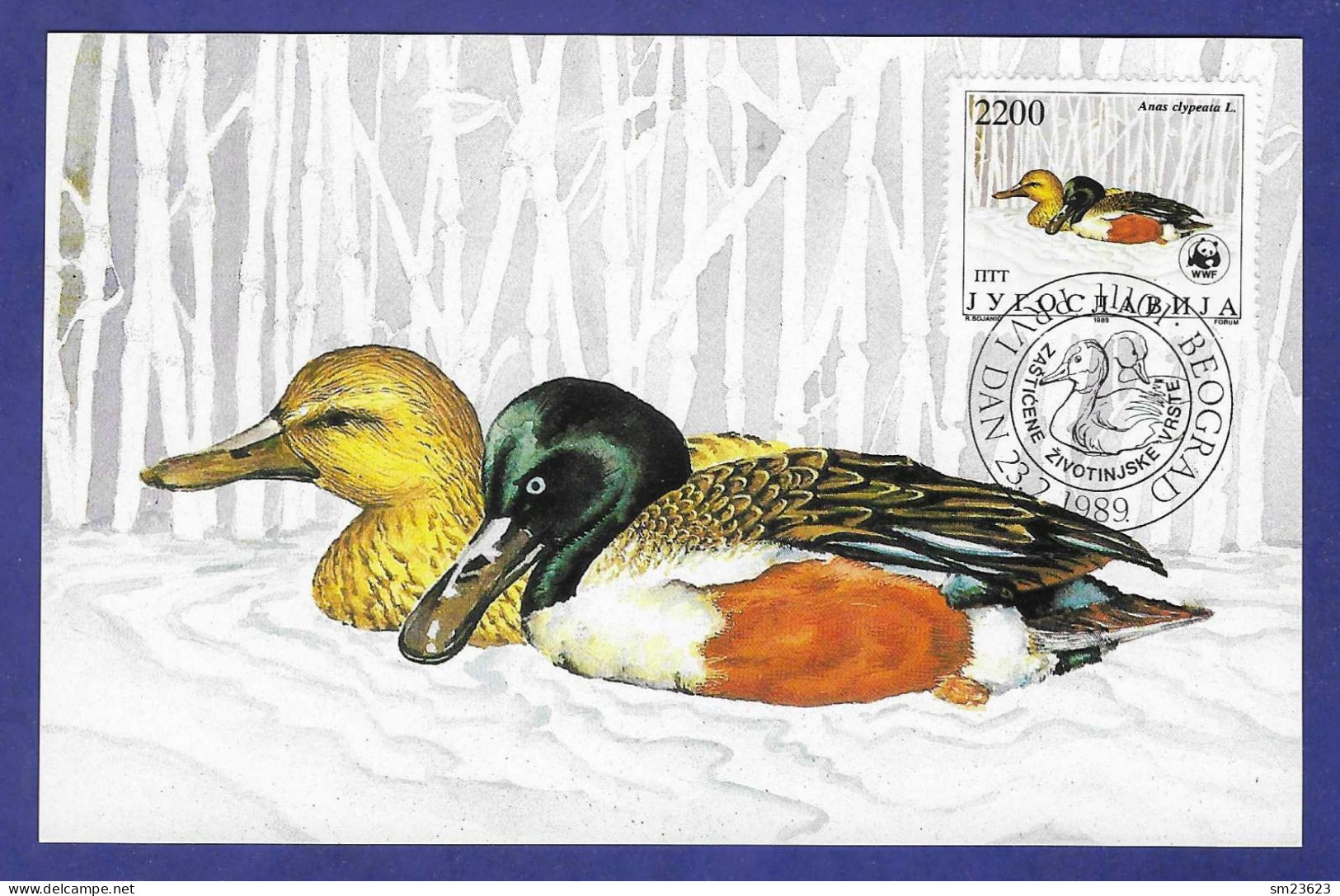 Jugoslawien  1989 , Enten - Maximum Card - First Day  Beograd 23.2.1989 - Cartes-maximum