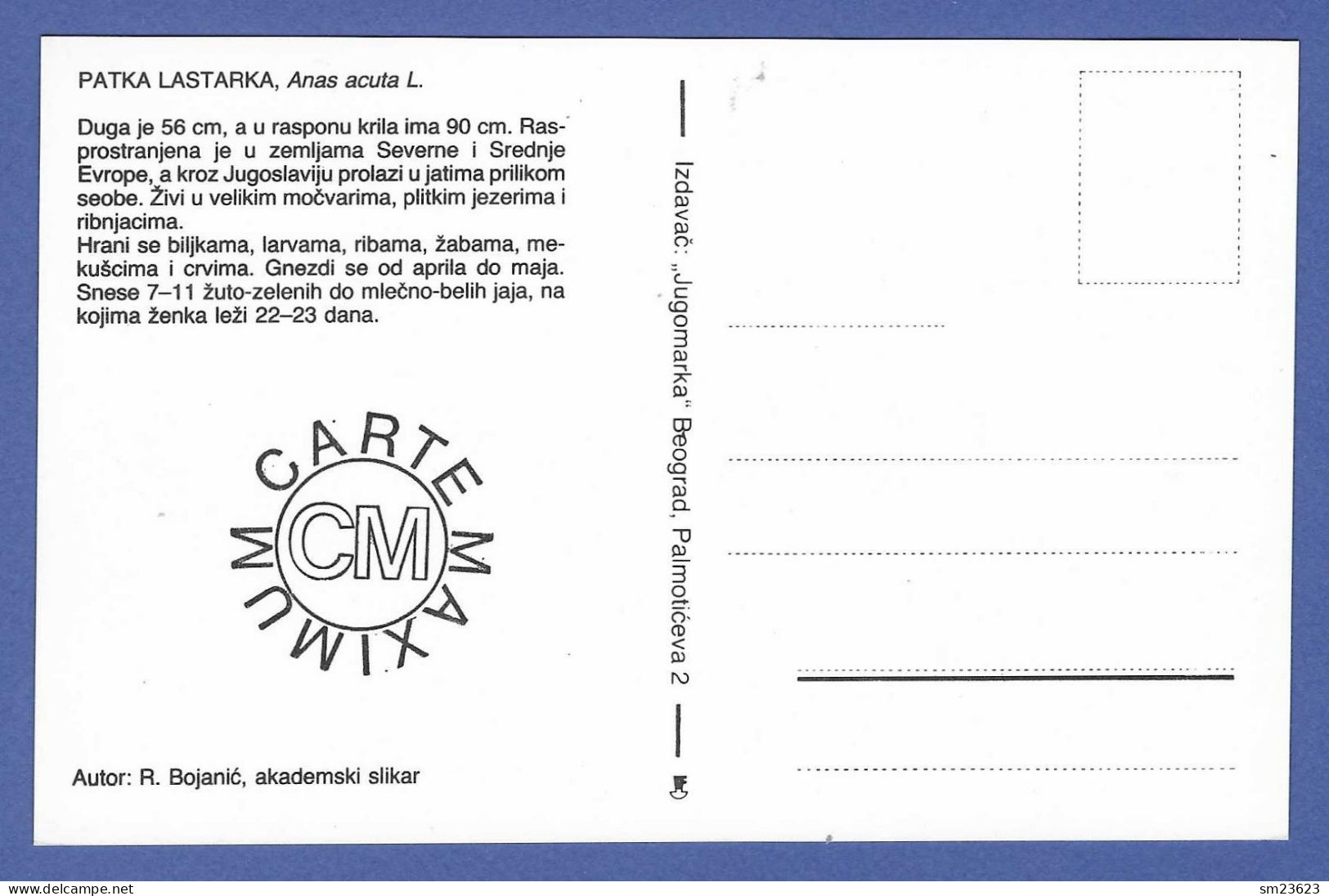 Jugoslawien  1989 , Enten - Maximum Card - First Day  Beograd 23.2.1989 - Cartes-maximum