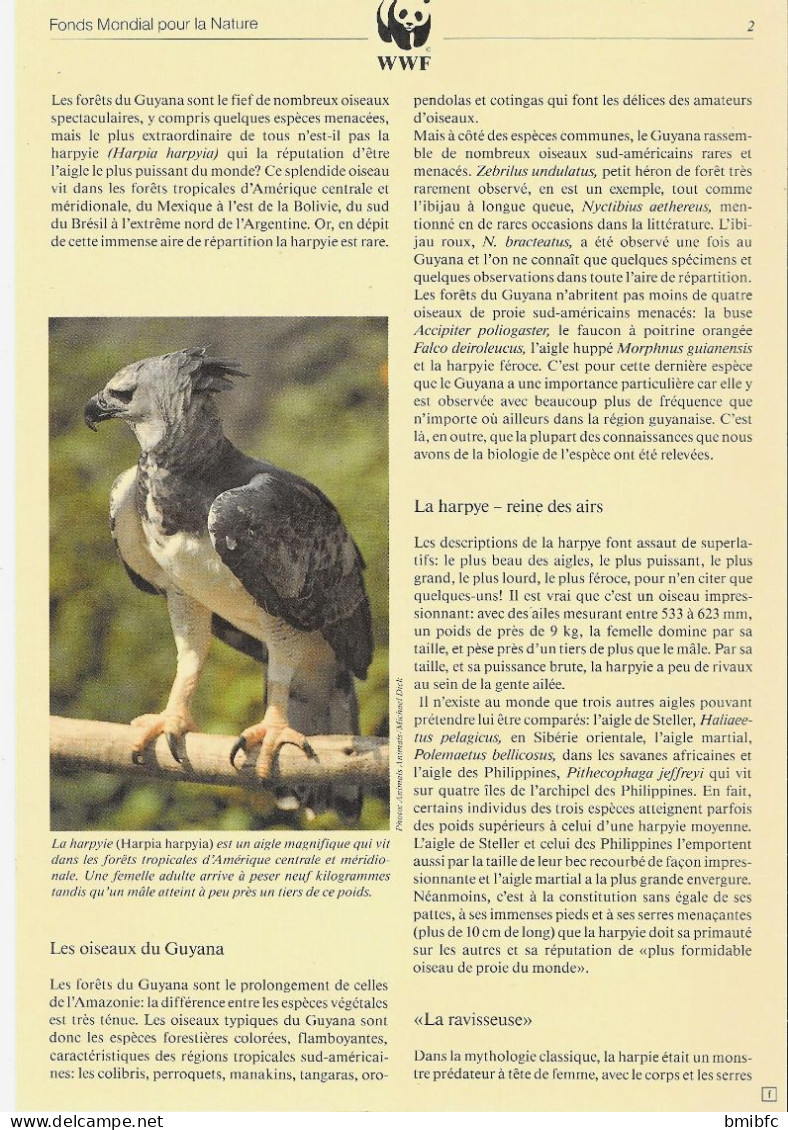 (Aigle Forestier)  Fonds Mondial Pour La Nature   W.W.F.  La Harpyie (Guyana) - Protection De L'environnement & Climat