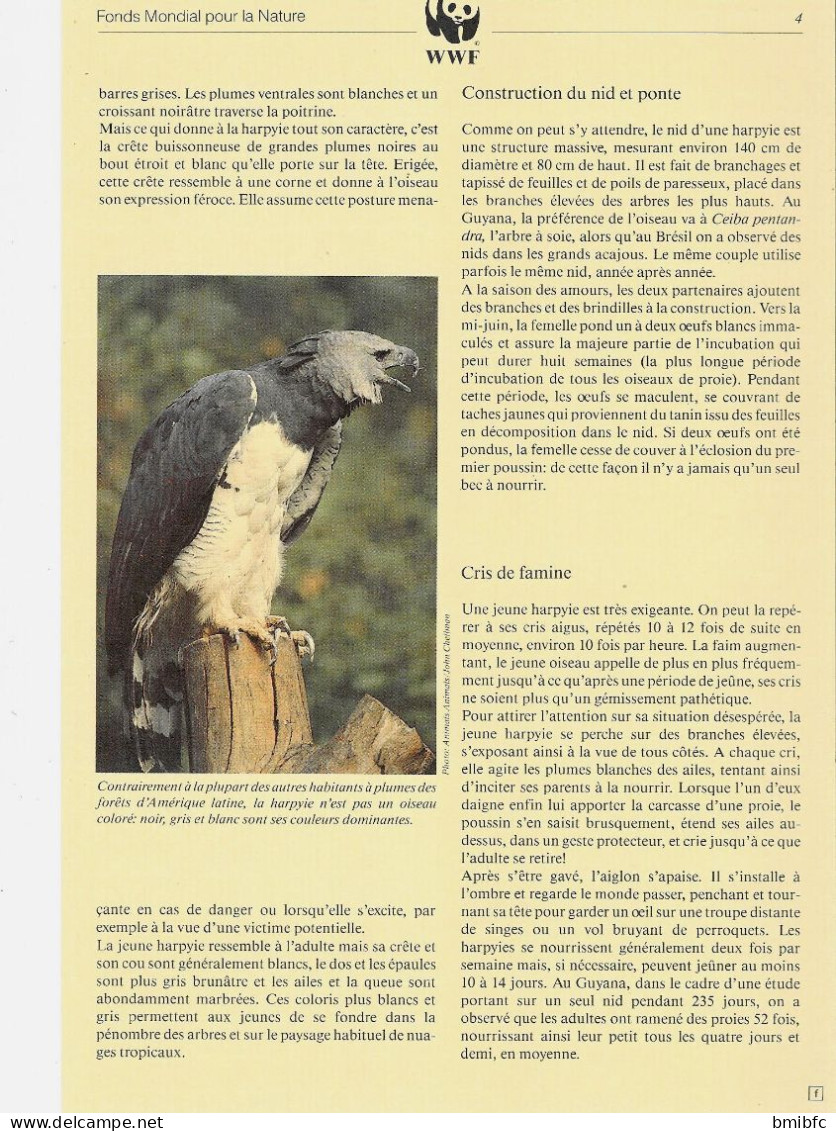 (Aigle Forestier)  Fonds Mondial Pour La Nature   W.W.F.  La Harpyie (Guyana) - Umweltschutz Und Klima