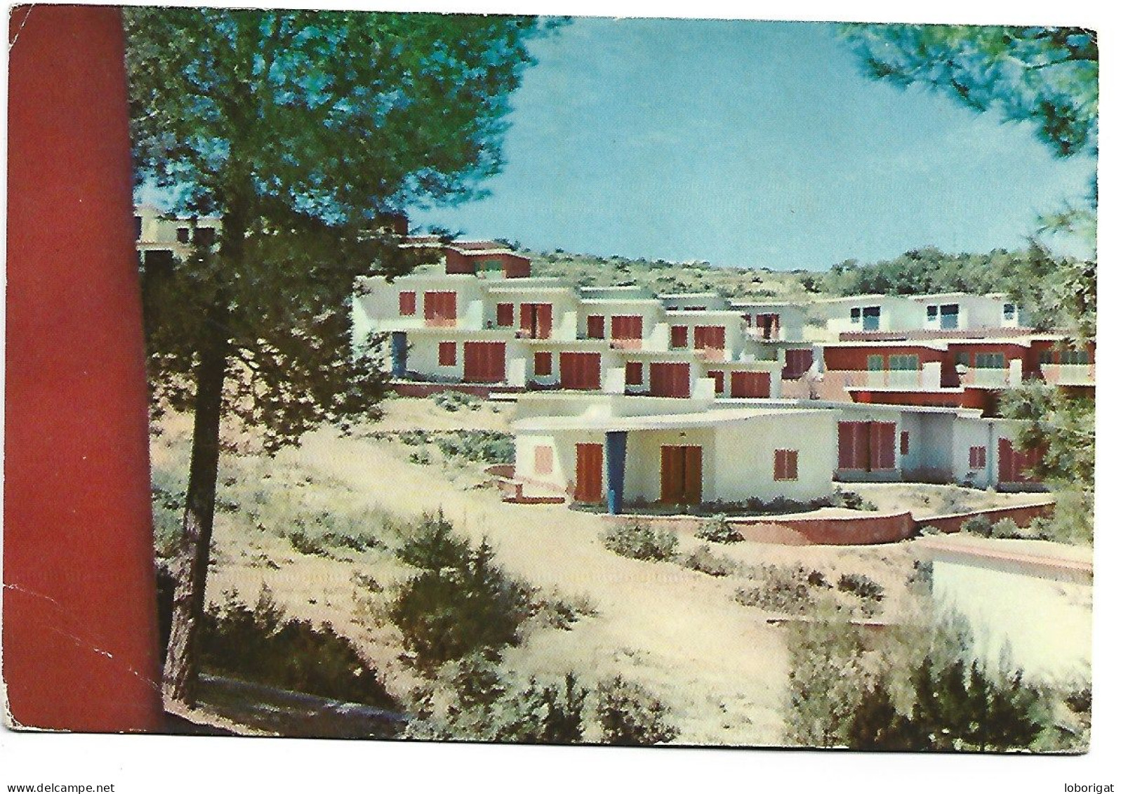 VISTA PARCIAL, CHALETS / RESTRICTED VIEW, COTTAGES.- OBRA SINDICAL "EDUCACION Y DESCANSO".-  TARRAGONA.- ( CATALUNYA ) - Tarragona