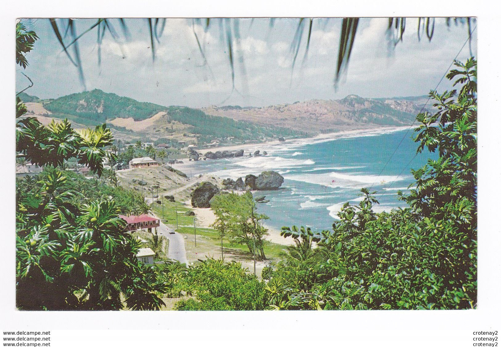 Antilles BARBADES BARBADOS Bathsheba Coast En 1980 VOIR 2 TIMBRES D'Oiseaux - Barbados