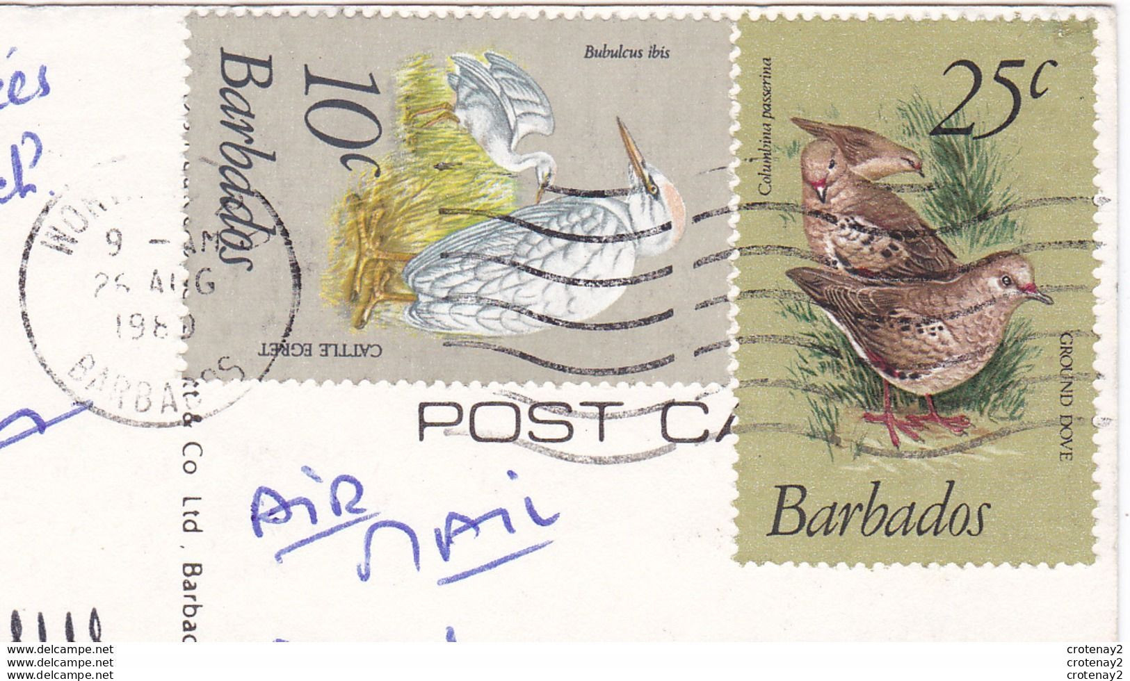 Antilles BARBADES BARBADOS Bathsheba Coast En 1980 VOIR 2 TIMBRES D'Oiseaux - Barbades