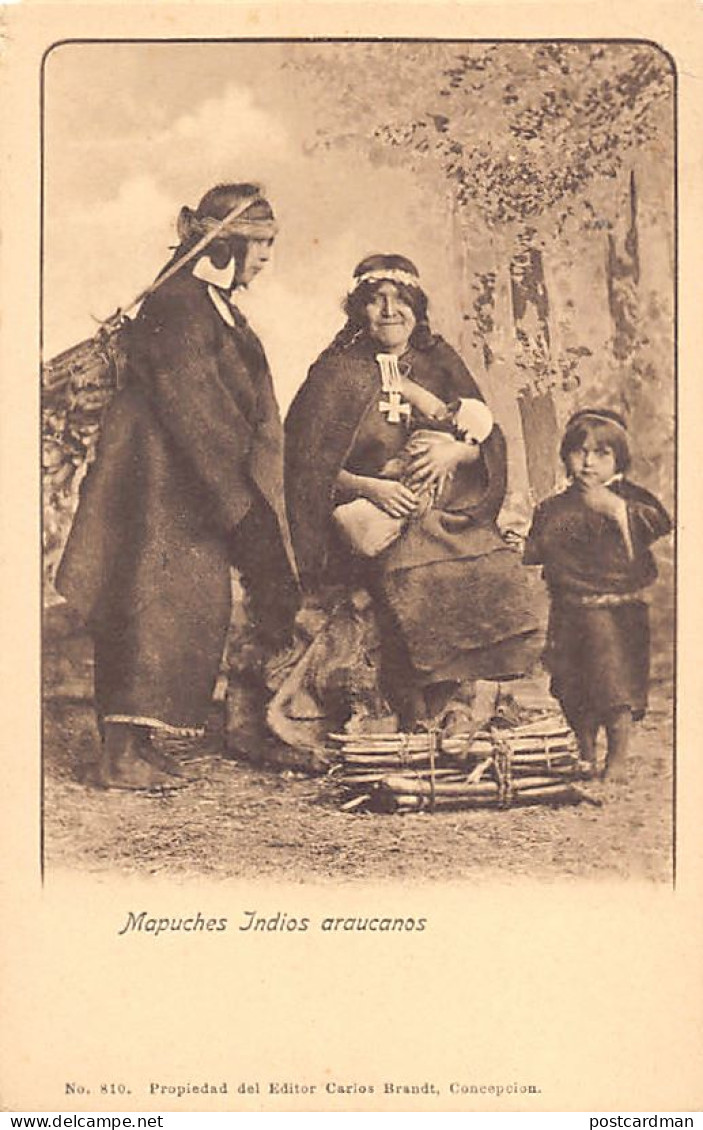 Chile - Mapuches Indios Araucanos - Ed. Carlos Brandt 810 - Chile