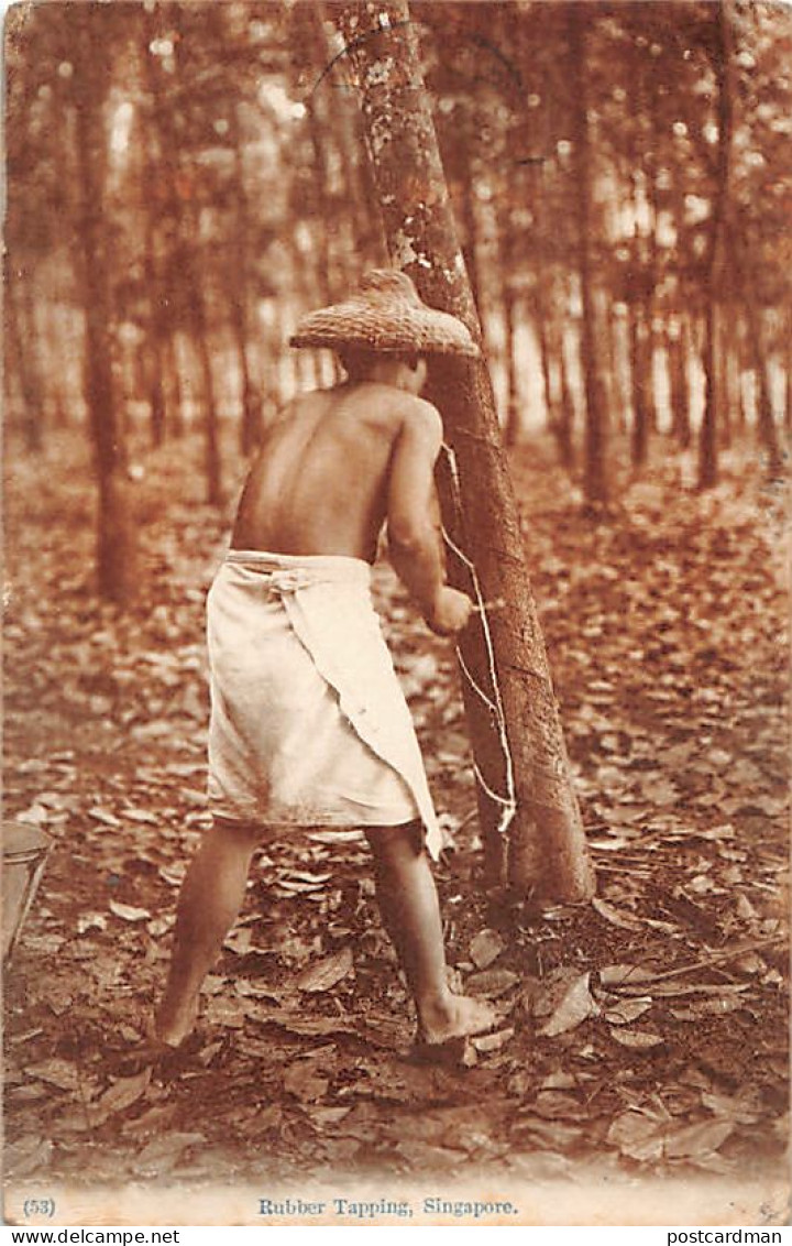 Singapore - Rubber Tapping - Publ. Unknown (printed In Japan) 53 - Singapur