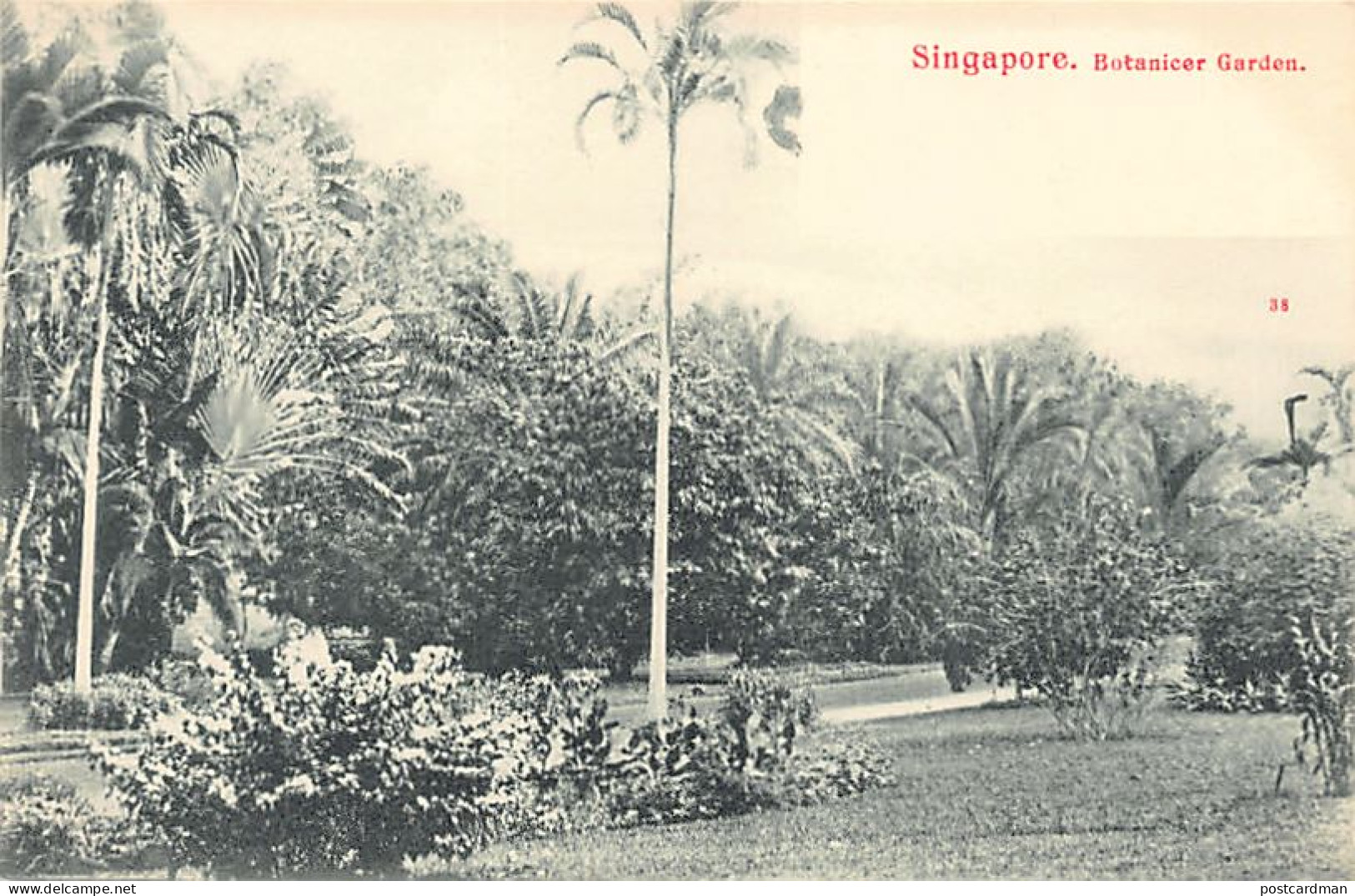 Singapore - Botanical Garden - Publ. Unknown 38 - Singapour