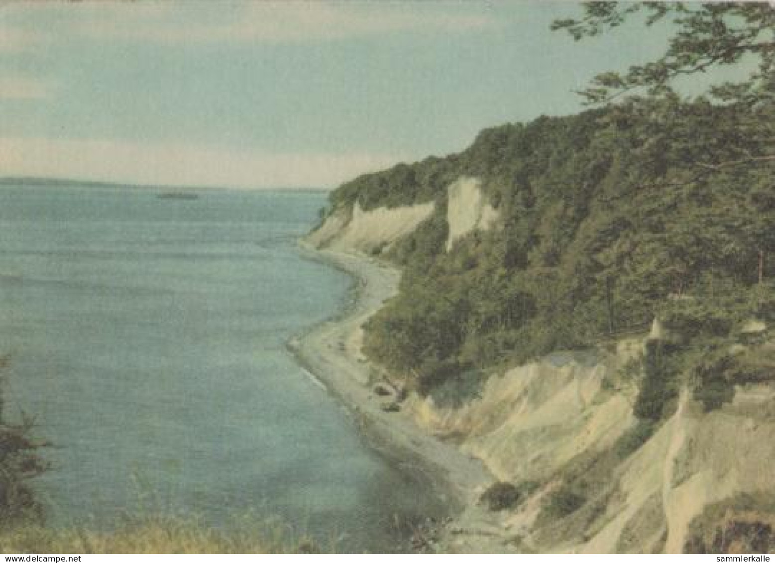 19109 - Binz - Kreideküste Bei Sassnitz Auf Rügen - Ca. 1965 - Rügen