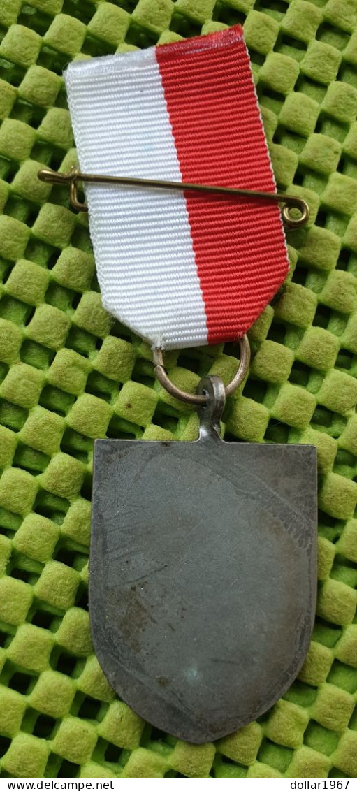 Medaile   :  W.s.v D.J.O (Door Jongeren Opgericht)  Te. Lisse .- 25 Jaar 1988 -   -  Original Foto  !!  Medallion  Dutch - Other & Unclassified