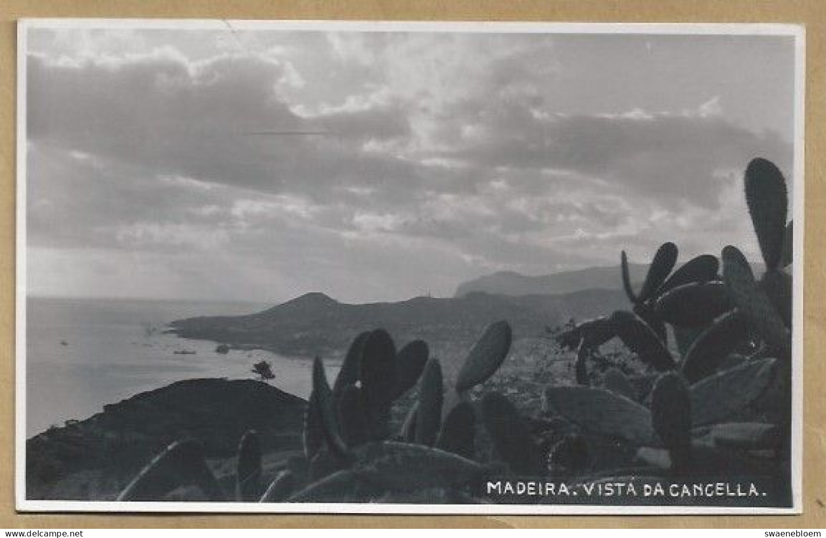 PT.- PORTUGAL. MADEIRA VISTA DA CANCELA. - Madeira