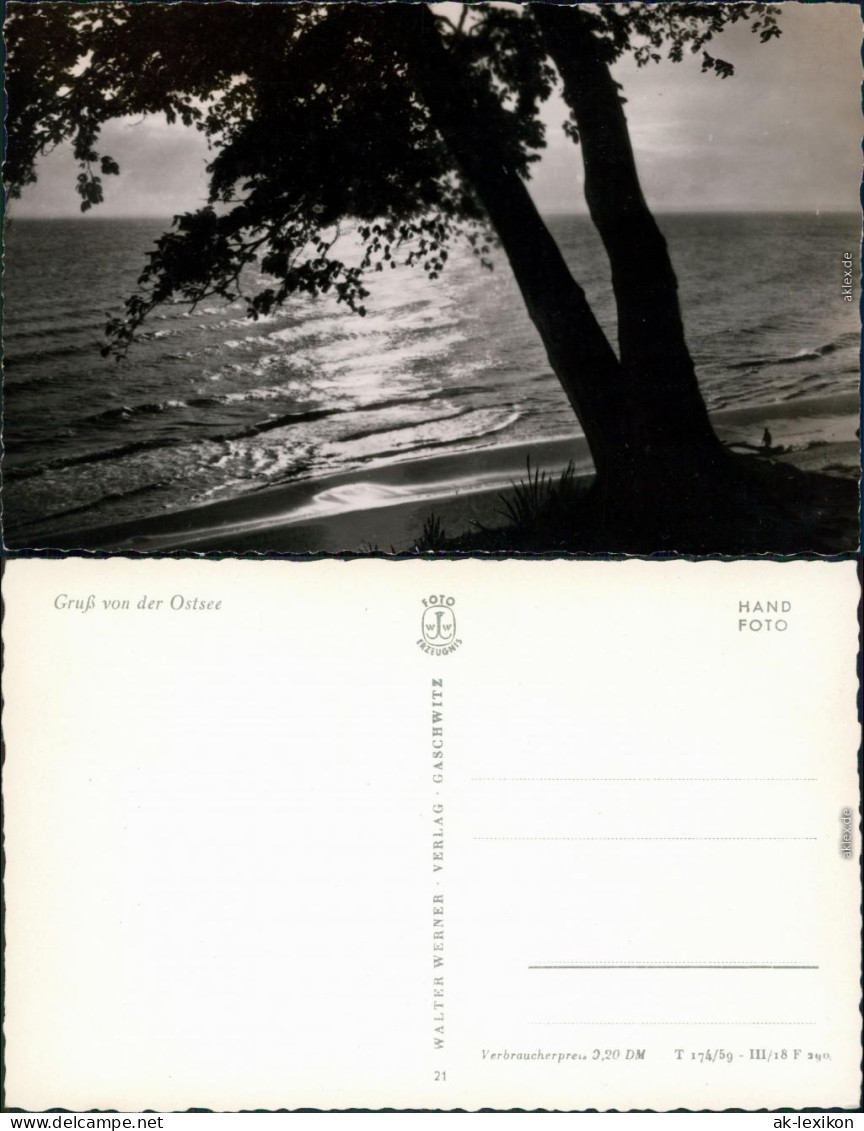 Mecklenburg Vorpommern-Schwerin Gruß Von Der Ostsee: Baum, Strand, Ostsee 1959 - Schwerin