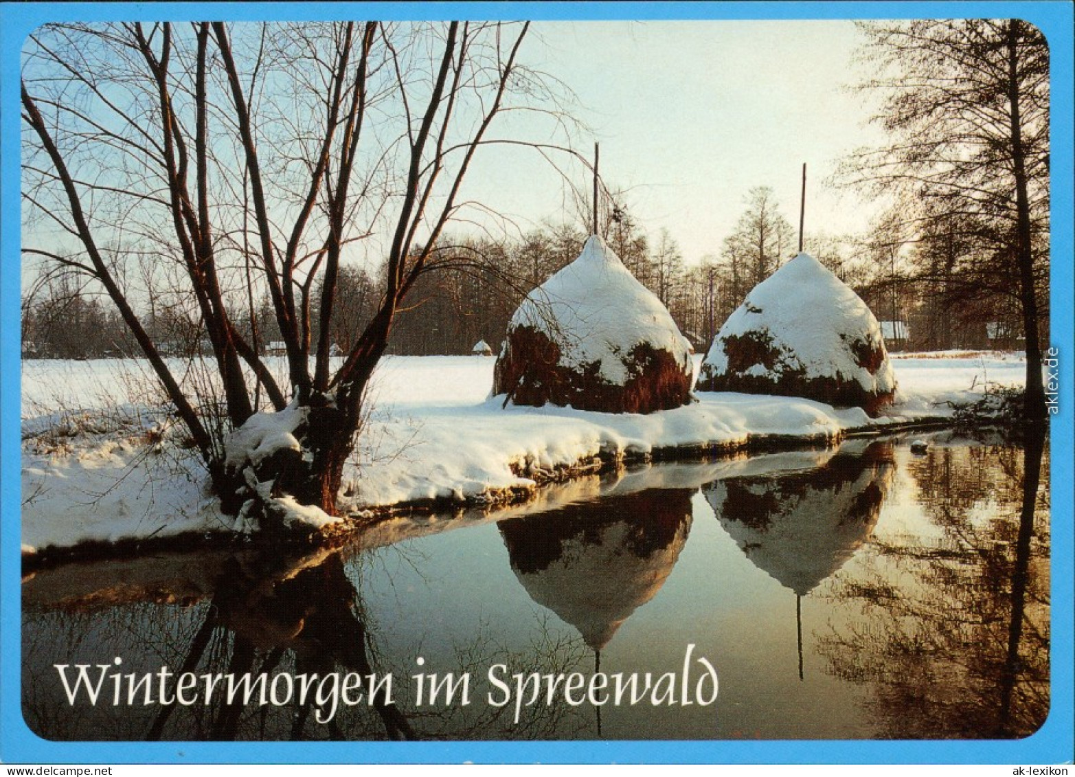 Lübben (Spreewald) Lubin (Błota) Winterliche Szene - Heuballen  Kanal 1995 - Luebben (Spreewald)