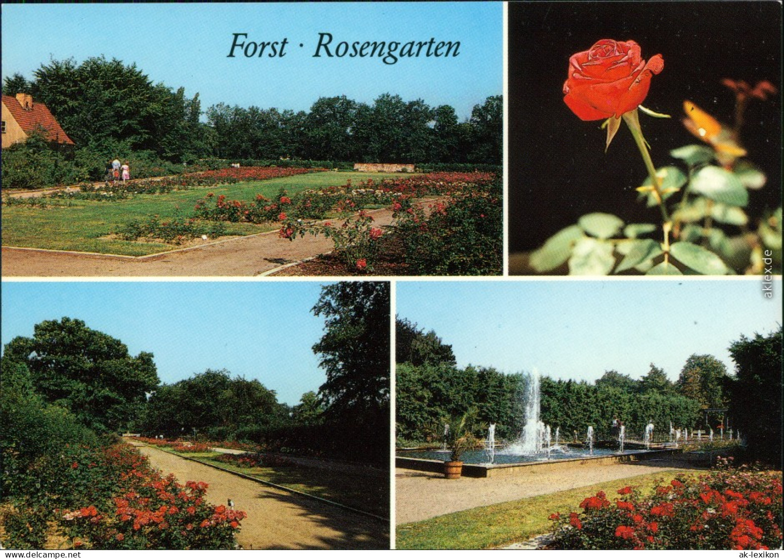 Ansichtskarte Forst (Lausitz) Baršć Rosengarten 1989 - Forst