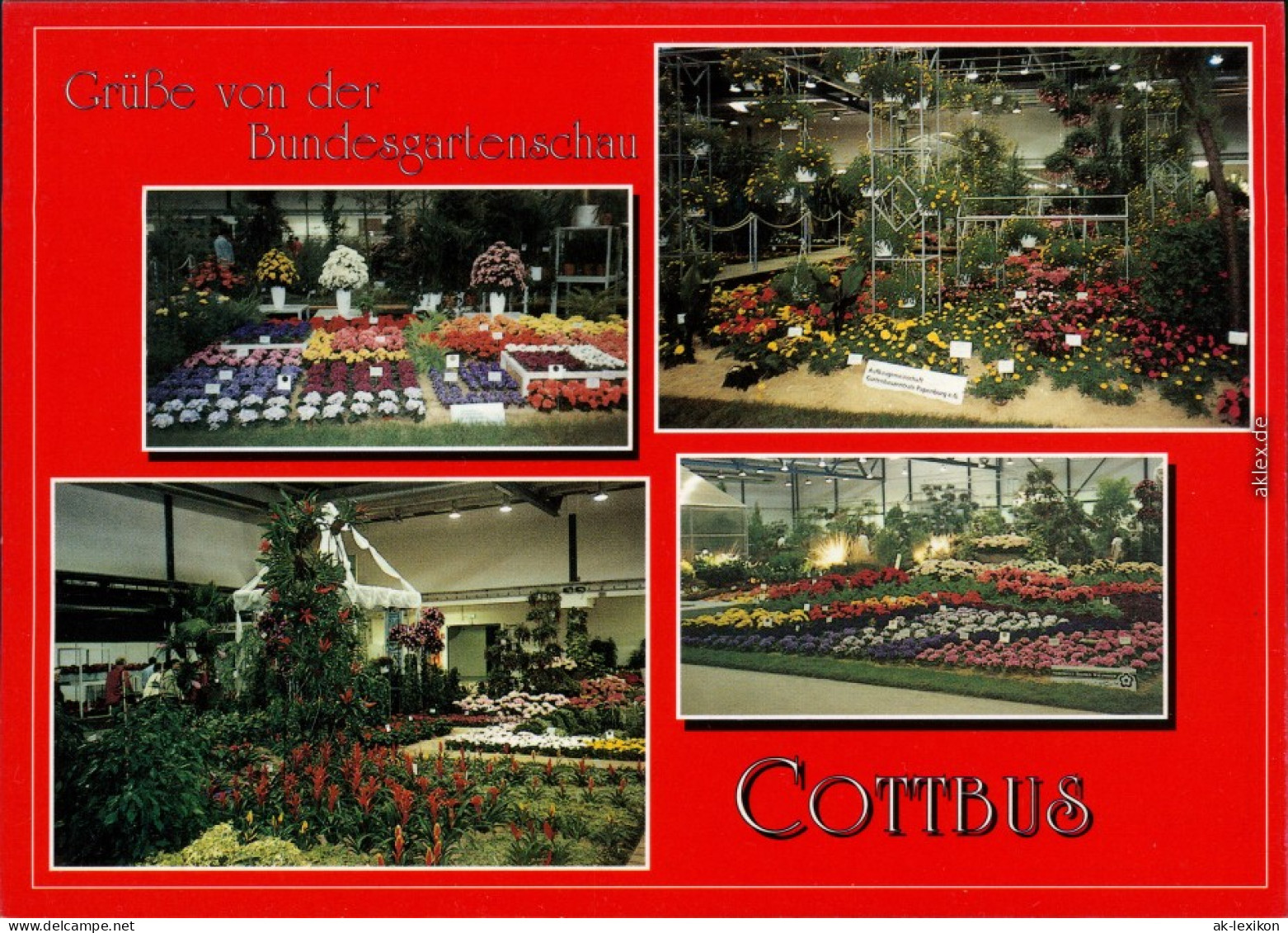 Ansichtskarte Cottbus Choćebuz BUGA/Bundesgartenschau 6 1995 - Cottbus