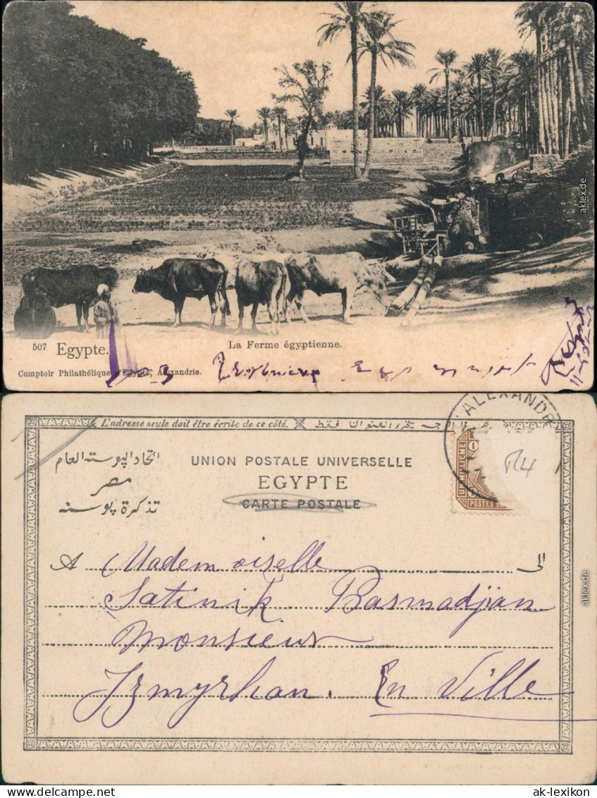 Ansichtskarte Ägypten (allgemein) La Ferme Egytienne 1904  - Other & Unclassified