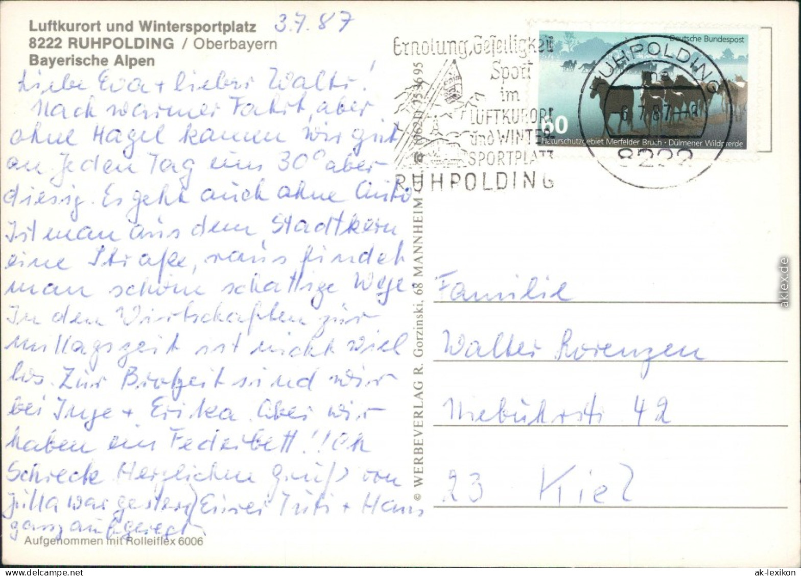 Ansichtskarte Ruhpolding Panorama-Ansicht, Berg Mit Gipfelkreuz, Brunnen 1987 - Ruhpolding