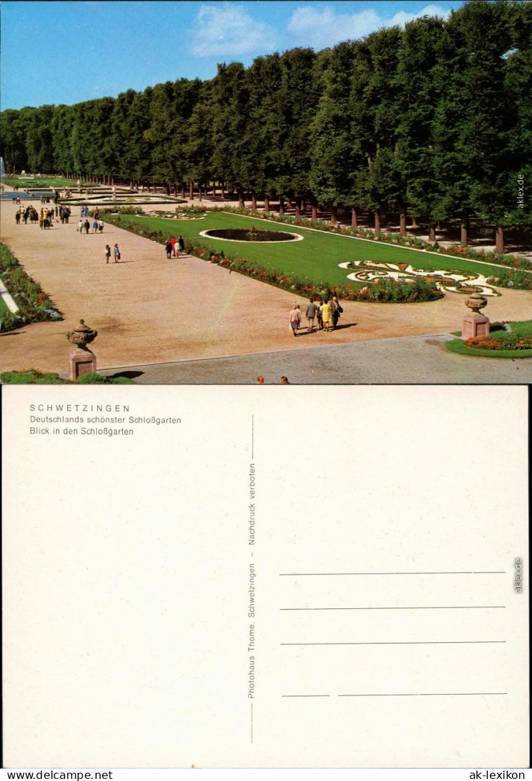 Ansichtskarte Schwetzingen Schlossgarten Mit Besuchern 1980 - Schwetzingen