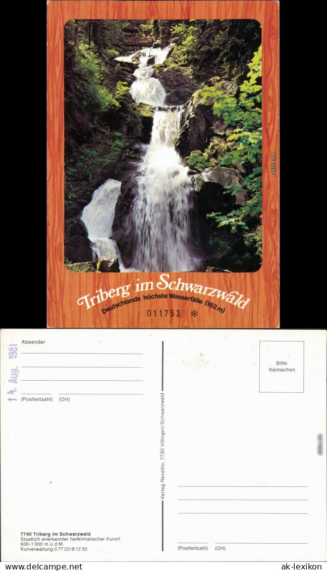 Ansichtskarte Triberg Im Schwarzwald Kaskaden-Wasserfall 1981 - Triberg