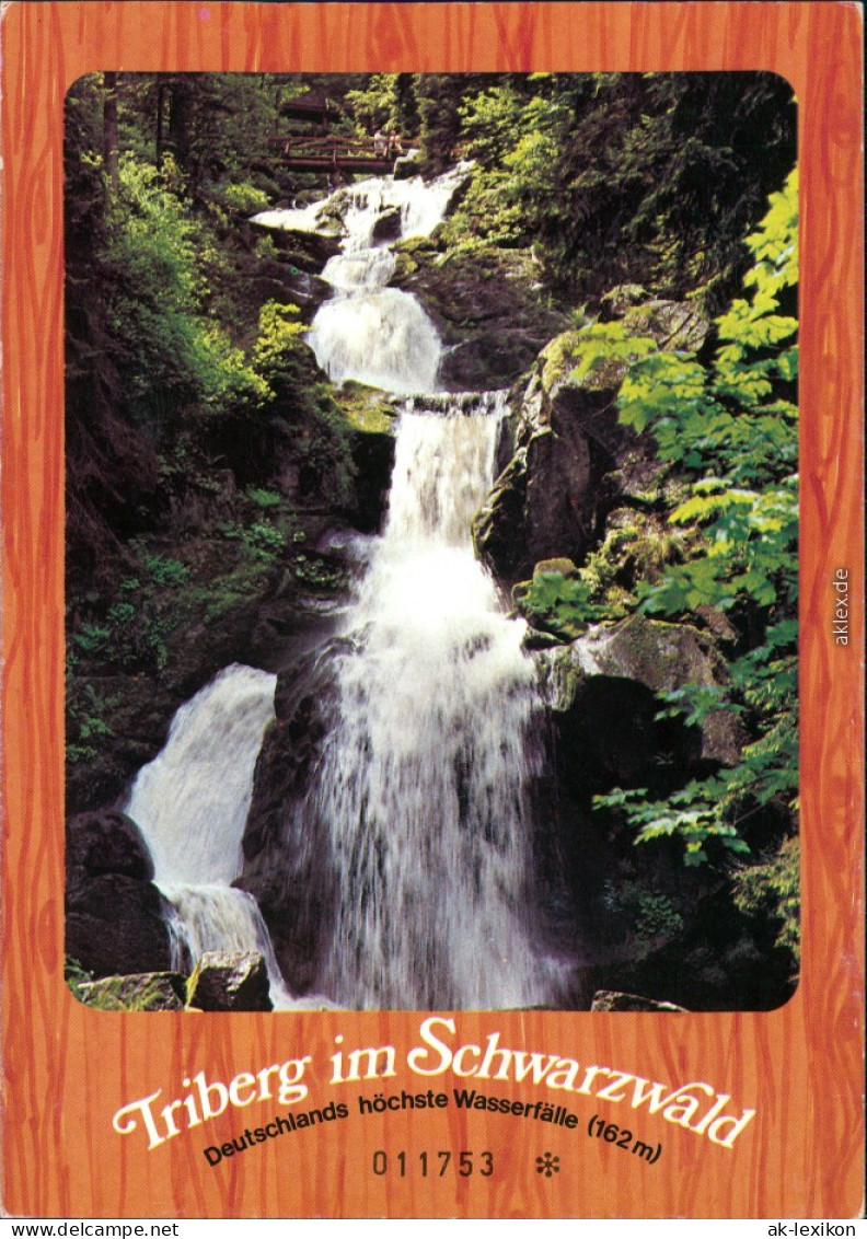 Ansichtskarte Triberg Im Schwarzwald Kaskaden-Wasserfall 1981 - Triberg