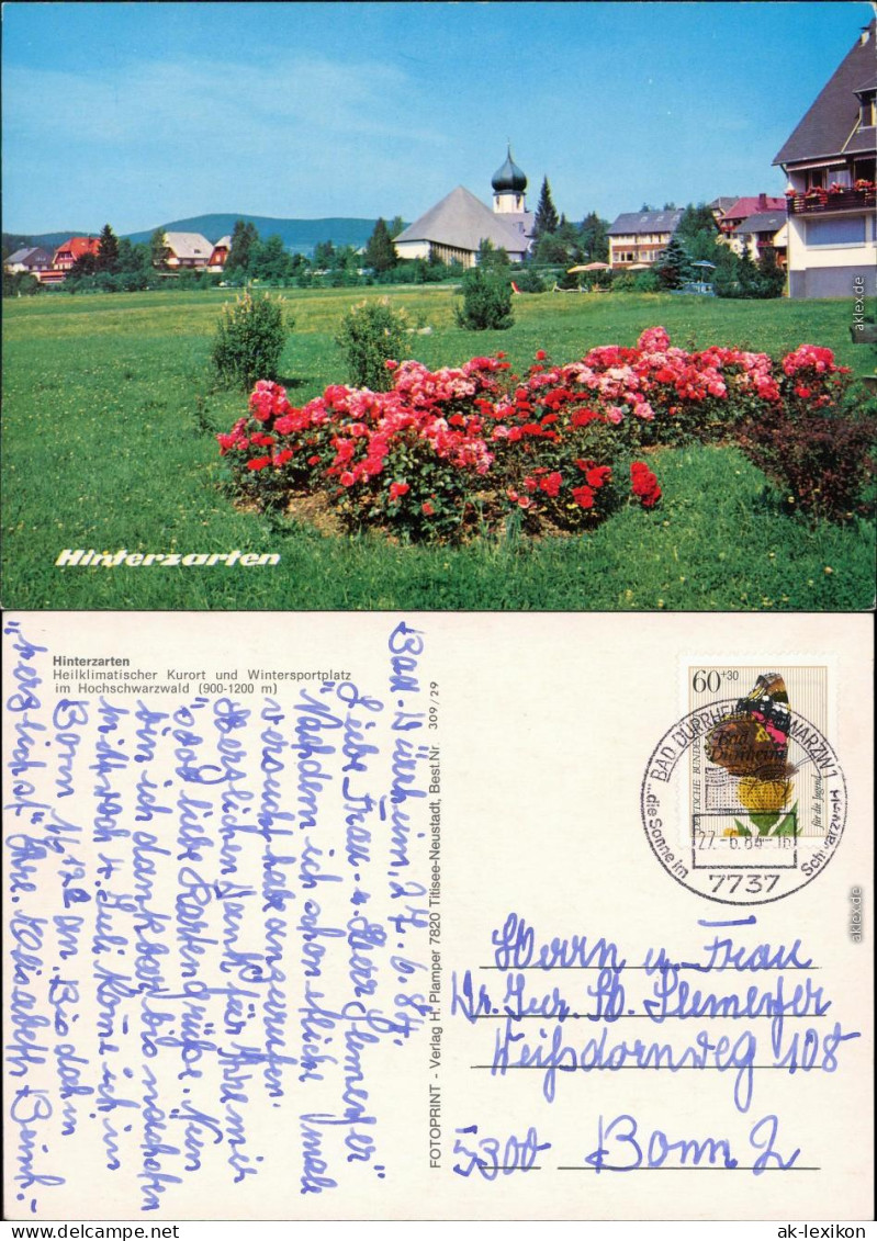 Ansichtskarte Hinterzarten Panorama-Ansicht Mit Kirche Im Zentrum 1984 - Hinterzarten