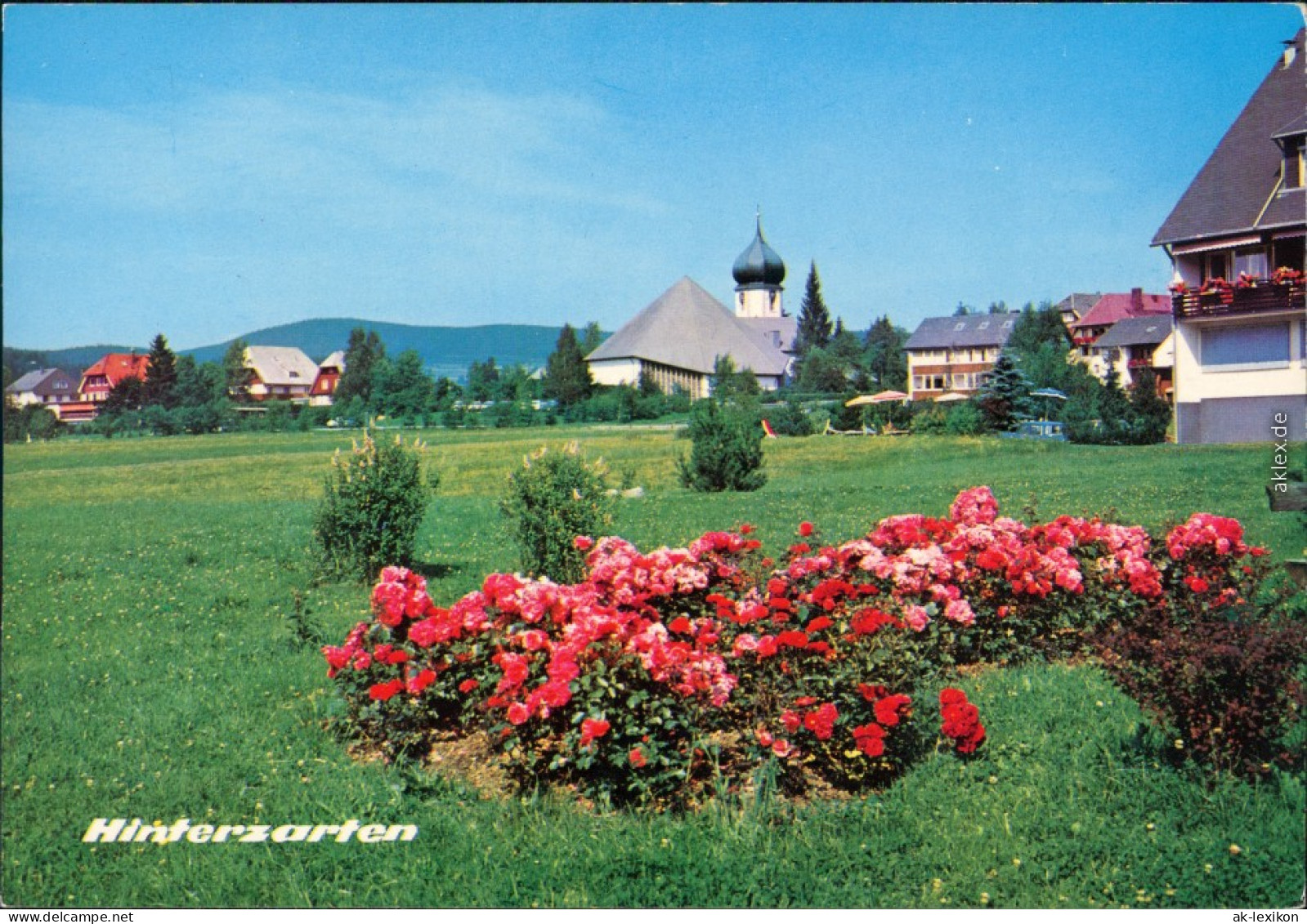 Ansichtskarte Hinterzarten Panorama-Ansicht Mit Kirche Im Zentrum 1984 - Hinterzarten