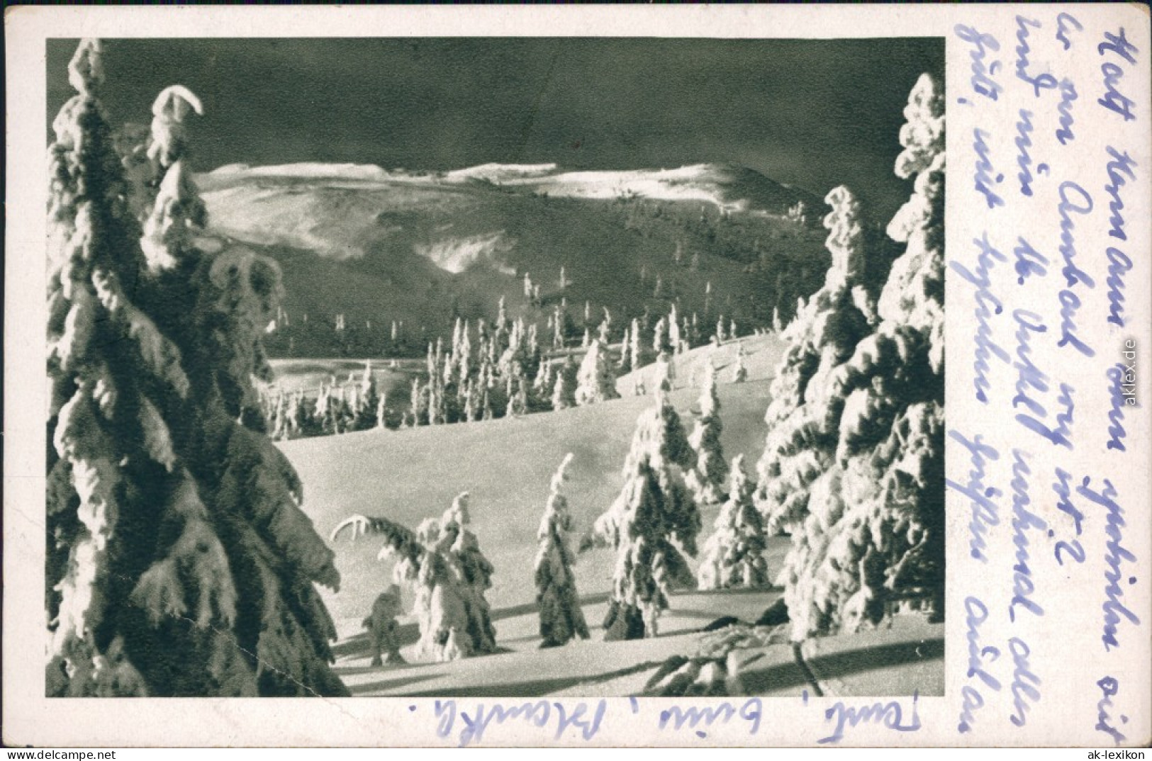 Ansichtskarte  Winter-Ansichtskarte: Berge, Tannen, Schnee 1944 - Non Classés