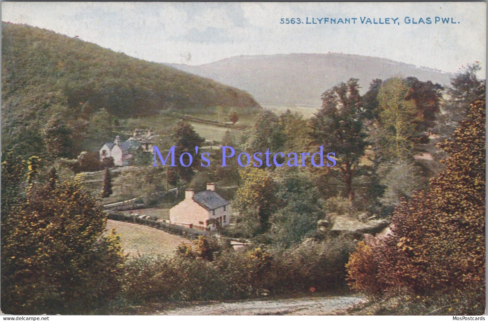 Wales Postcard - Llyfnant Valley, Glas Pwl, Powys   DZ67 - Montgomeryshire