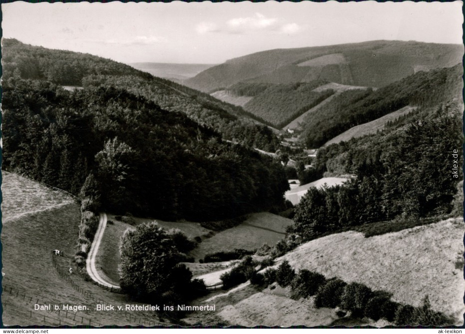 Ansichtskarte Dahl-Hagen (Westfalen) Nimmertal 1963 - Hagen