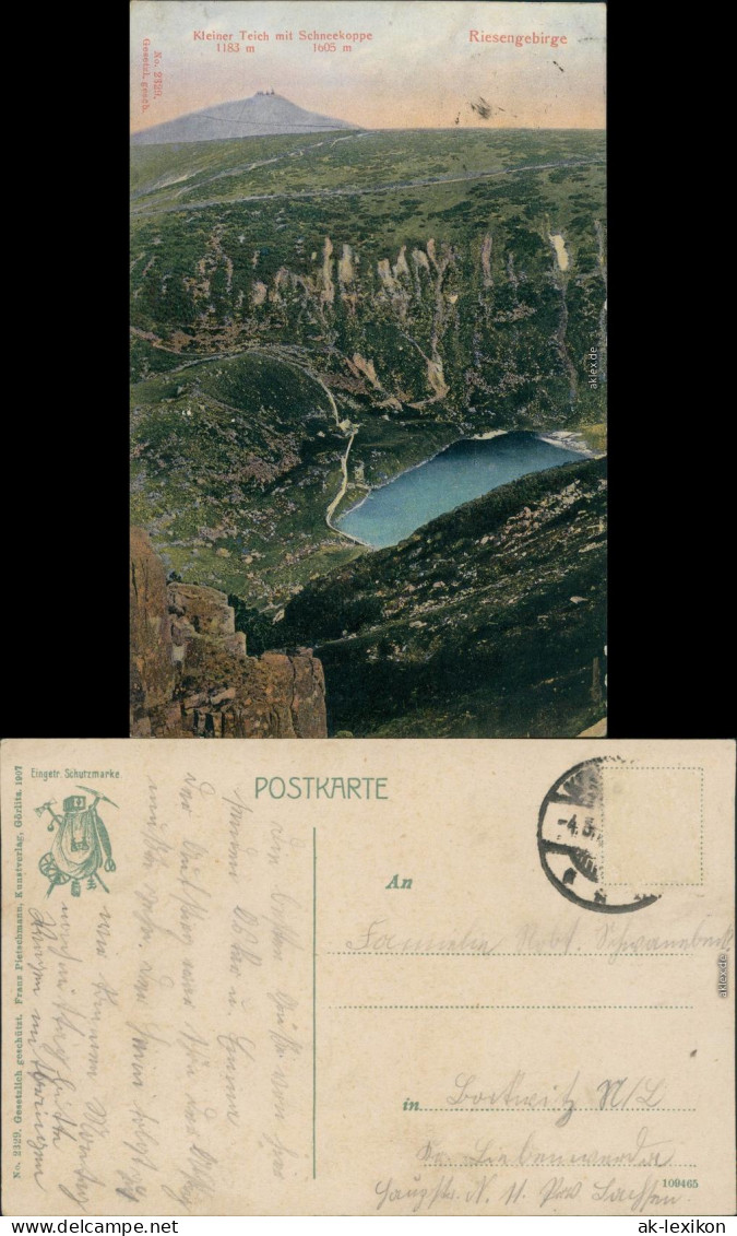 Brückenberg-Krummhübel Karpacz Górny Karpacz Kleiner Teich - Schneekoppe 1909  - Polen