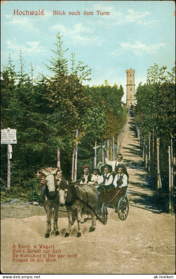 Ansichtskarte Oybin Hochwaldturm - Kutsche Mit Kindern 1913 - Oybin