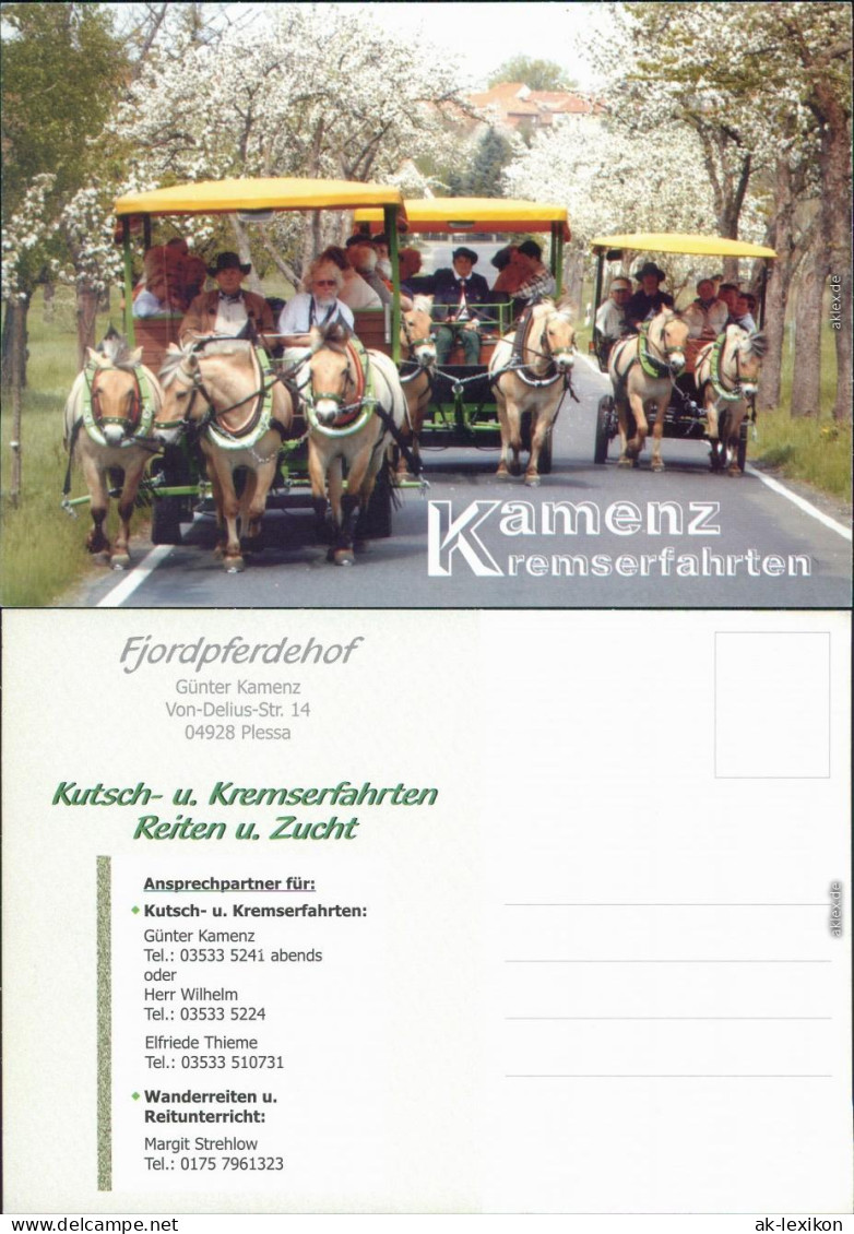 Kamenz Kamjenc Reklame &amp; Werbung - Fjordpferdehof Kamenz 1995 - Kamenz