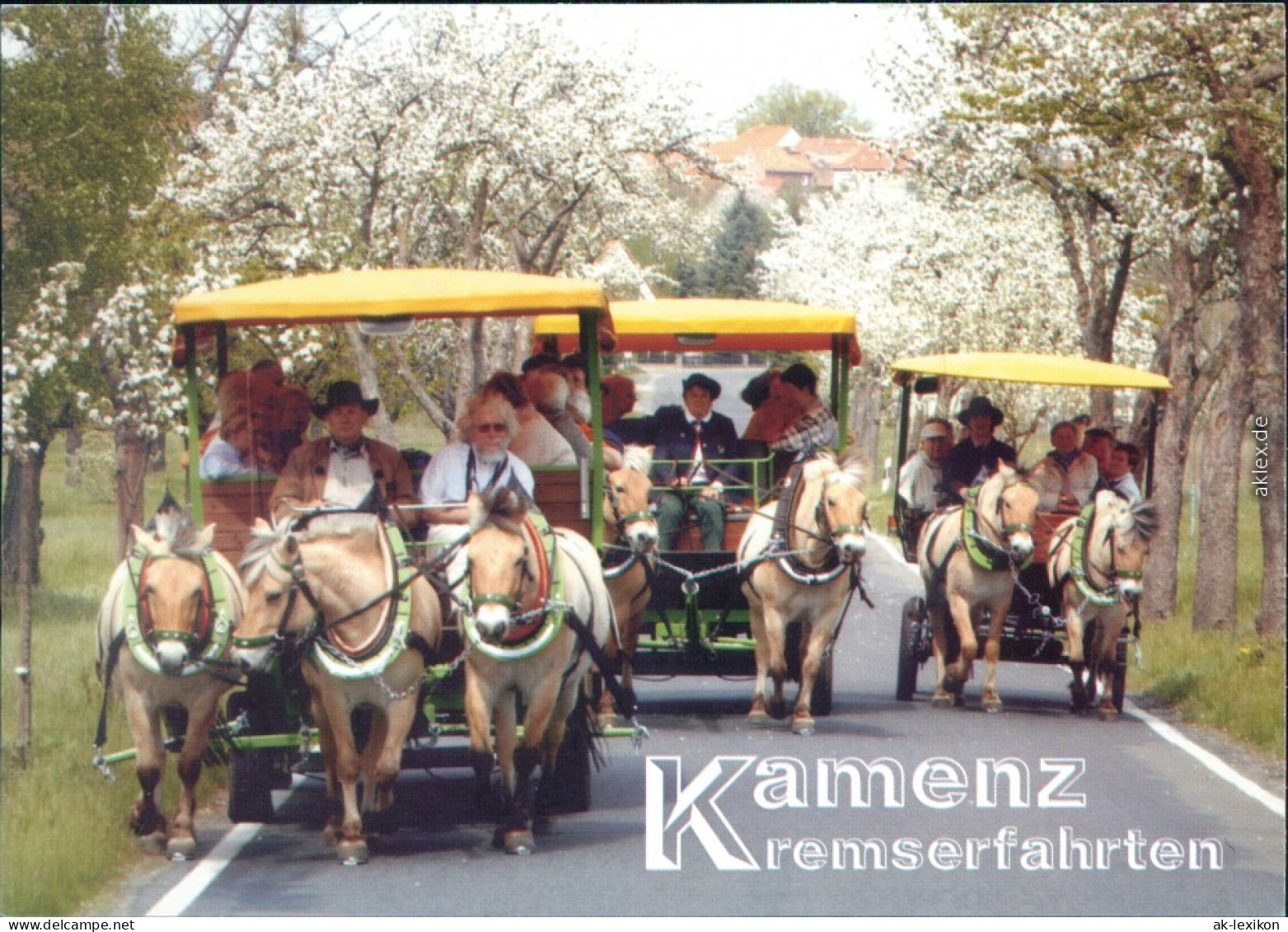 Kamenz Kamjenc Reklame &amp; Werbung - Fjordpferdehof Kamenz 1995 - Kamenz