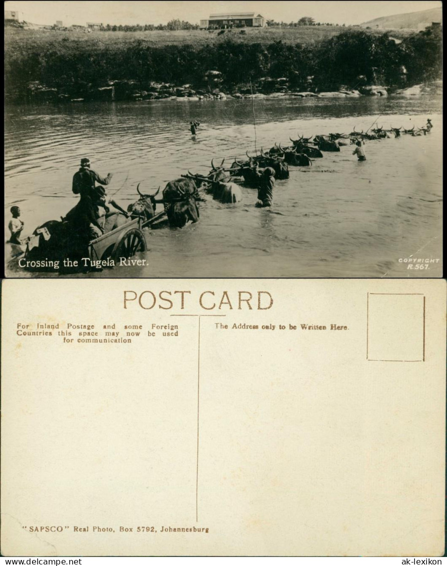 Postcard Pietermaritzburg Crossing The Tugela River 1927 - South Africa