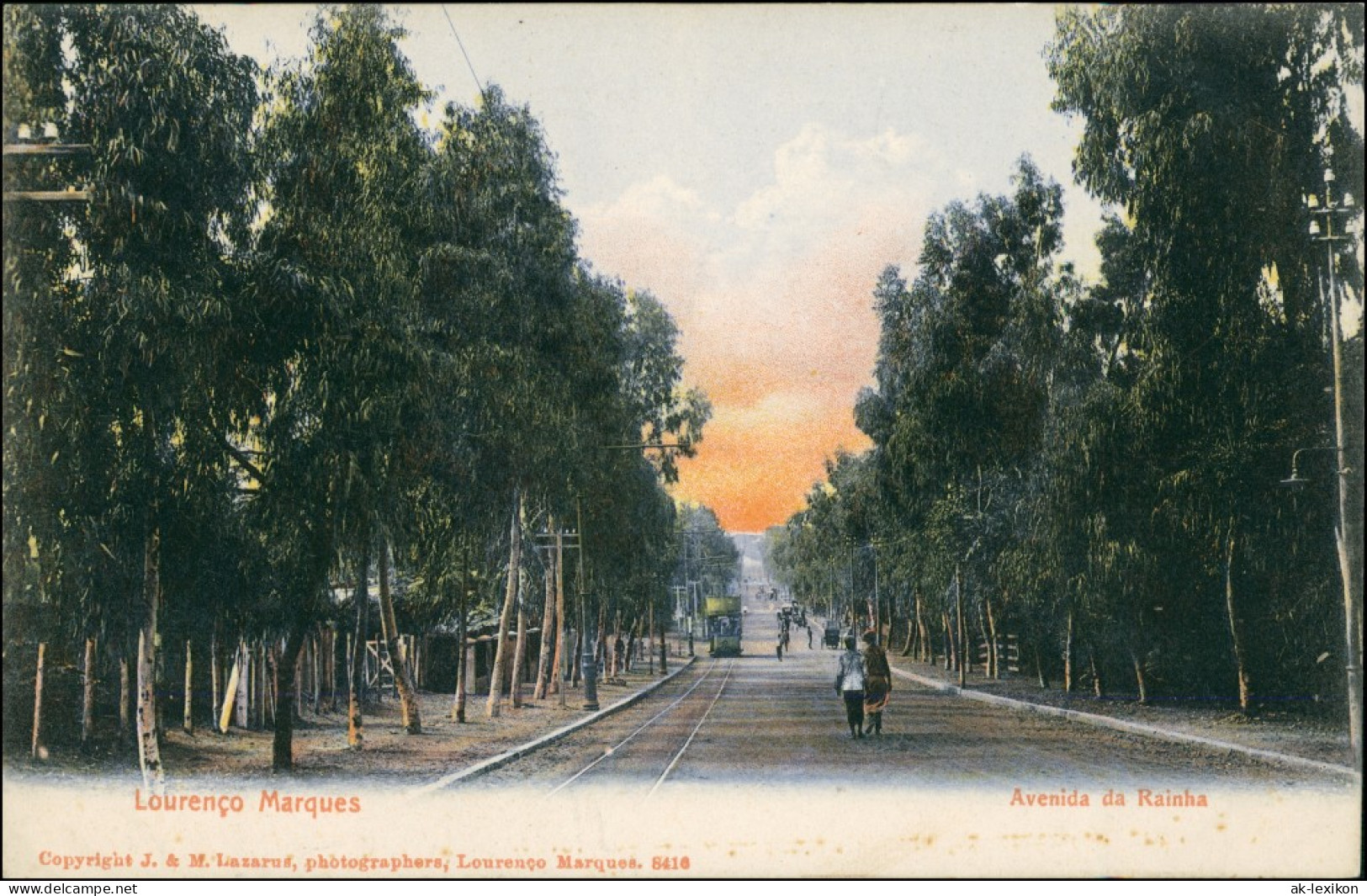 Postcard Maputo (Lourenço Marques) Avenida Da Rainha Mozambique 1909 - Mozambico