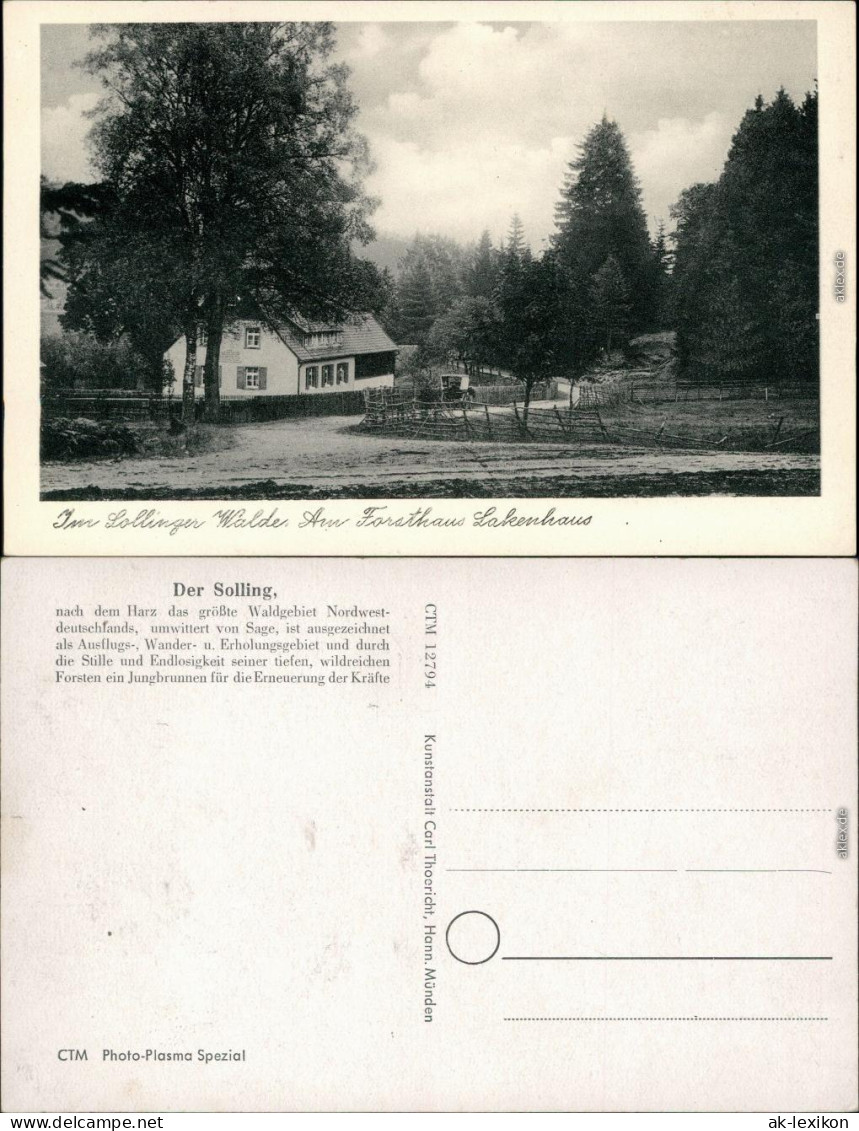 Ansichtskarte Neuhaus Im Solling-Holzminden Am Forsthaus Lakenhaus 1932  - Holzminden