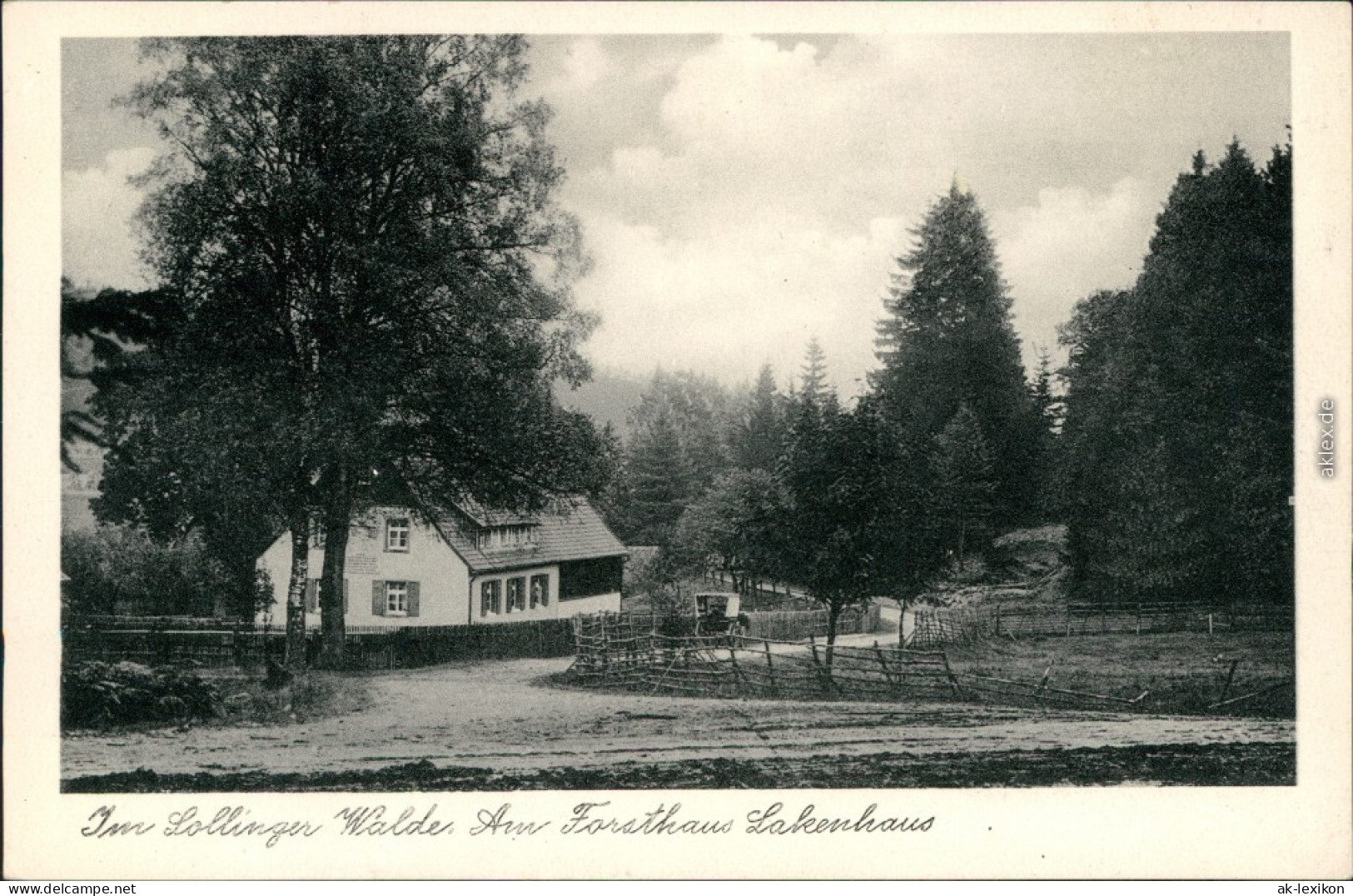Ansichtskarte Neuhaus Im Solling-Holzminden Am Forsthaus Lakenhaus 1932  - Holzminden