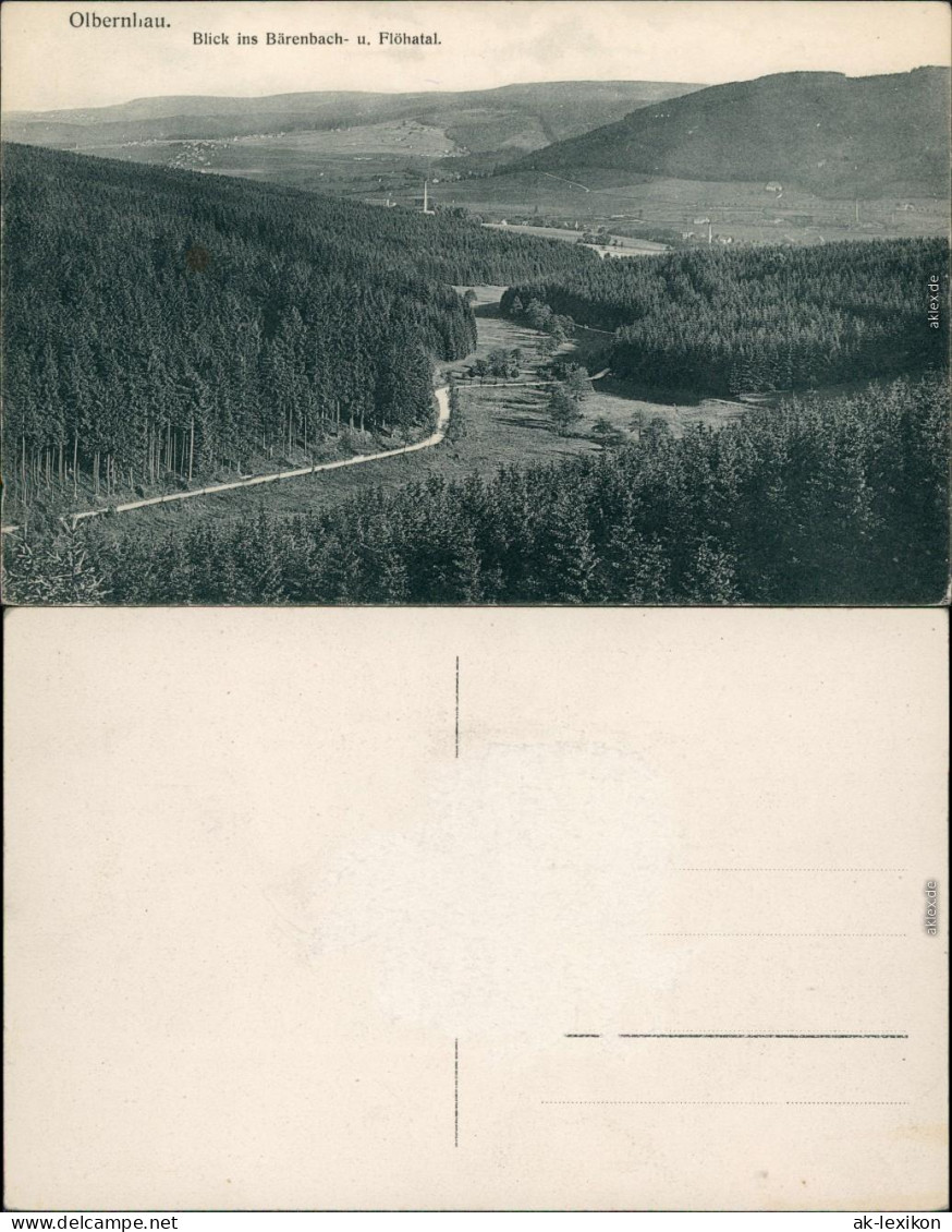 Ansichtskarte Olbernhau Bärenbach- U. Flöhatal 1930 - Olbernhau