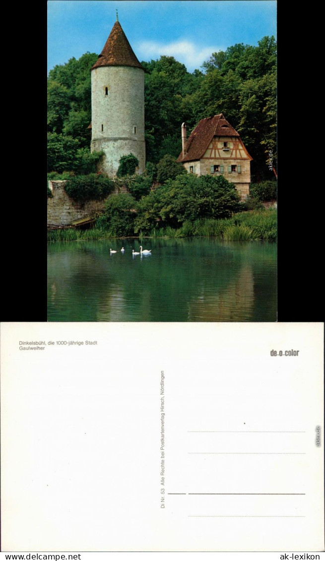 Ansichtskarte Dinkelsbühl Gaulweiher 1980 - Dinkelsbuehl